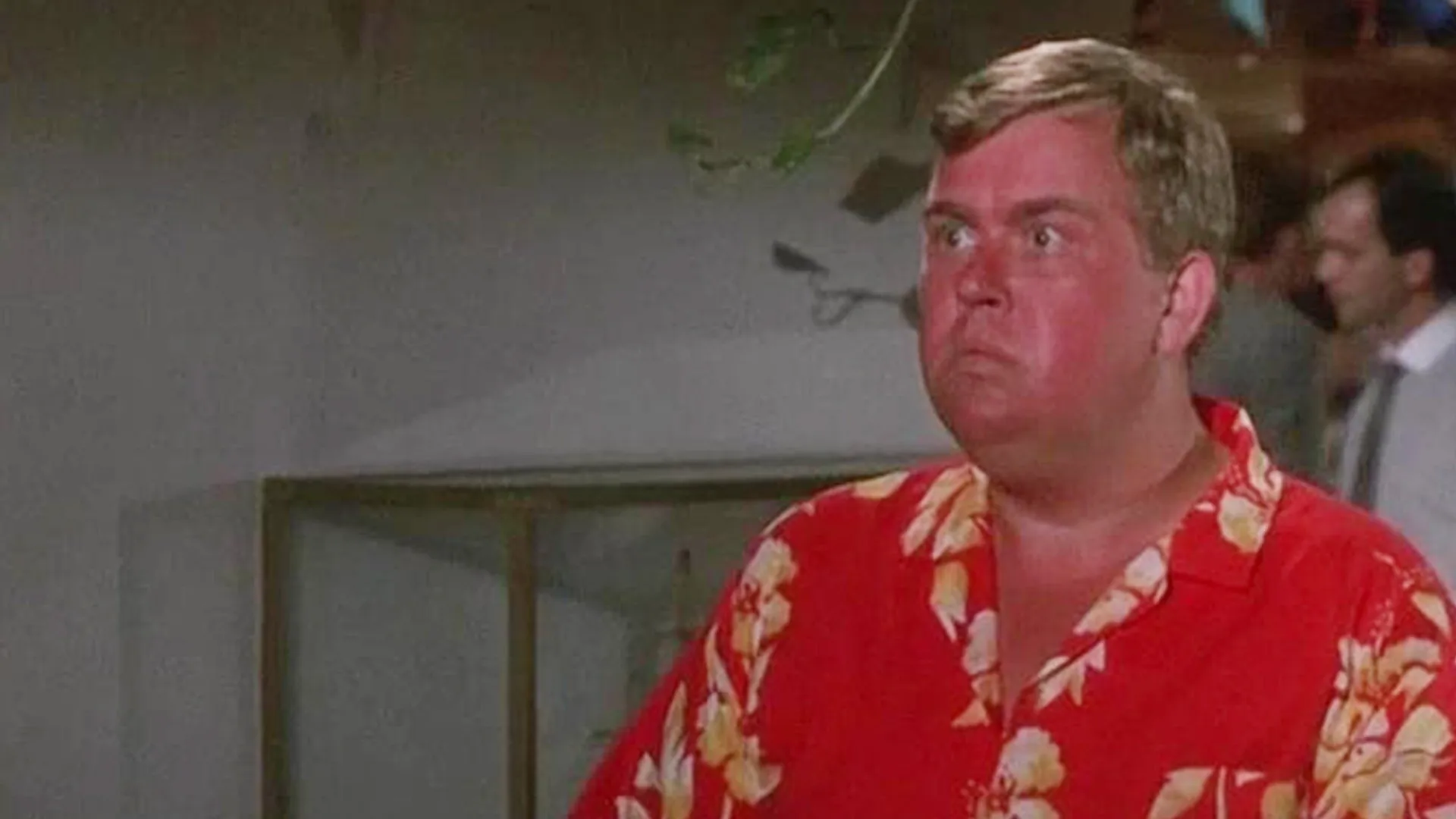 Summer Rental