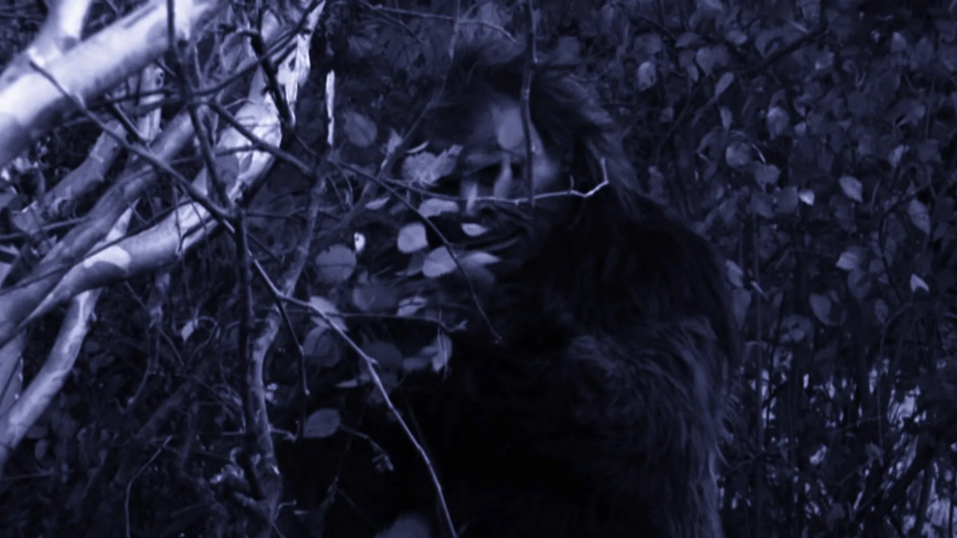 Bigfoot Encounters