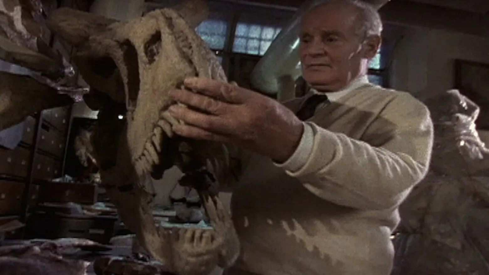 Dinosaurs: Inside and Out