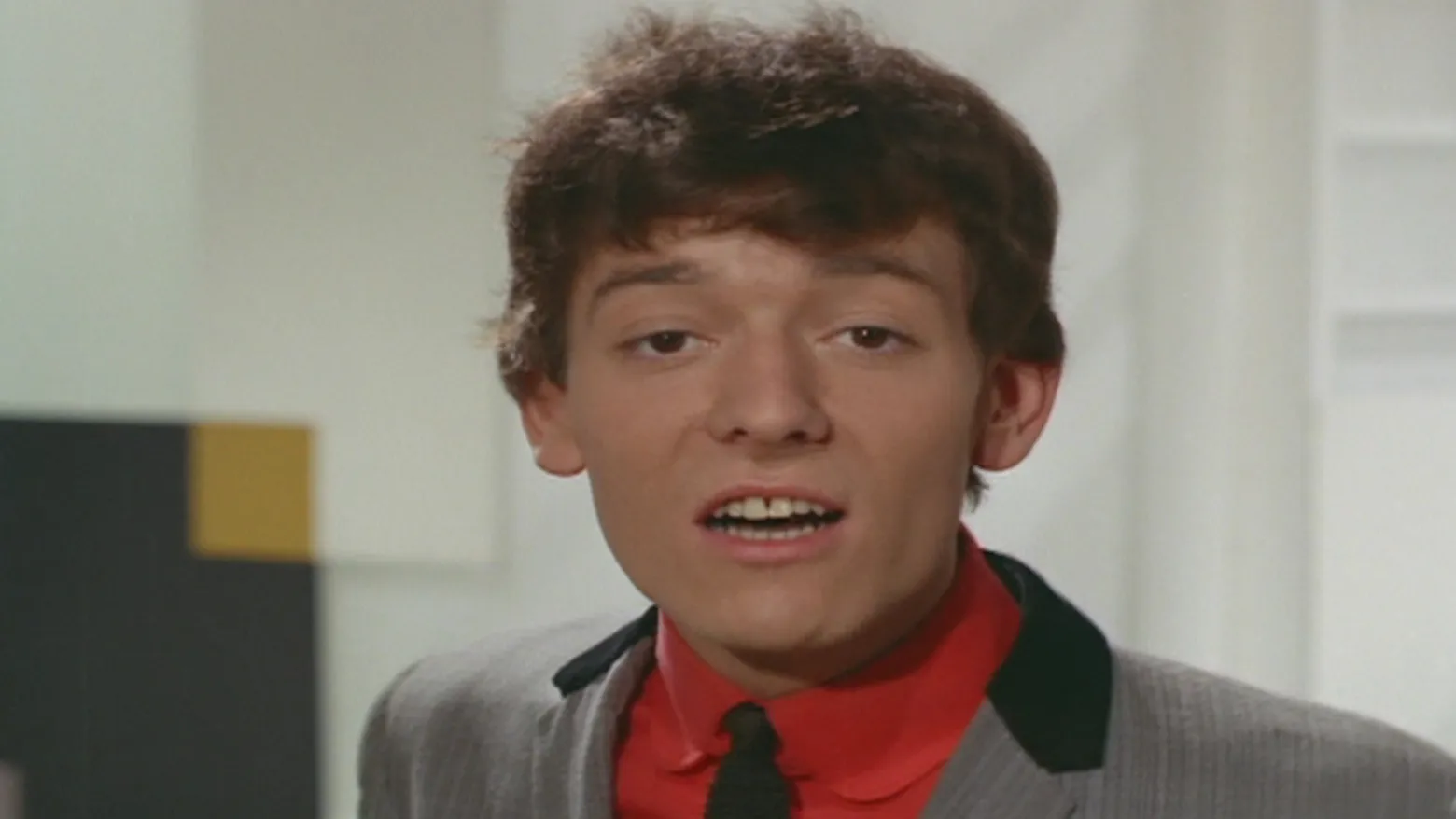 The Hollies: Look Through Any Window 1963-1975
