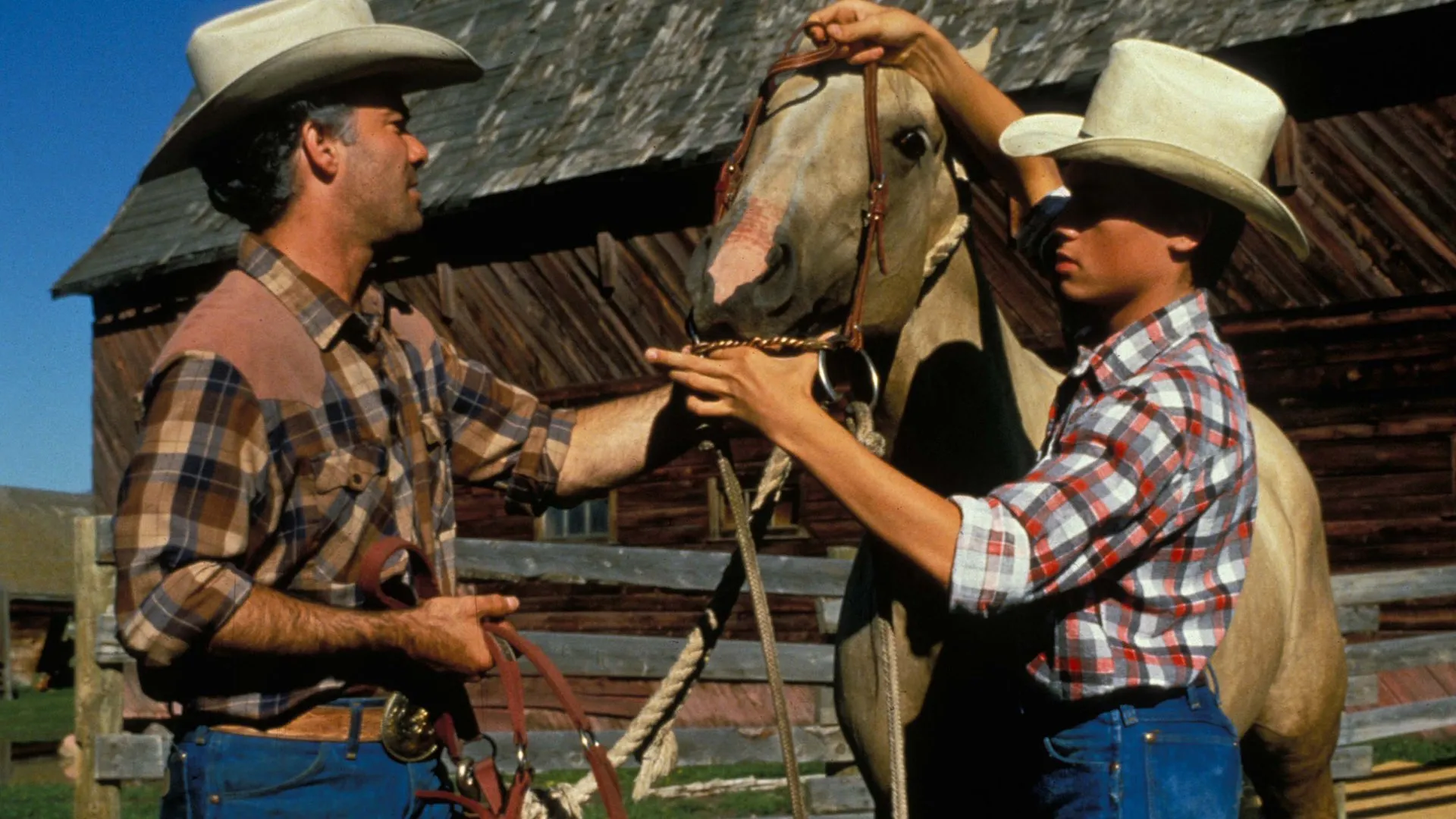 Cowboys Don't Cry