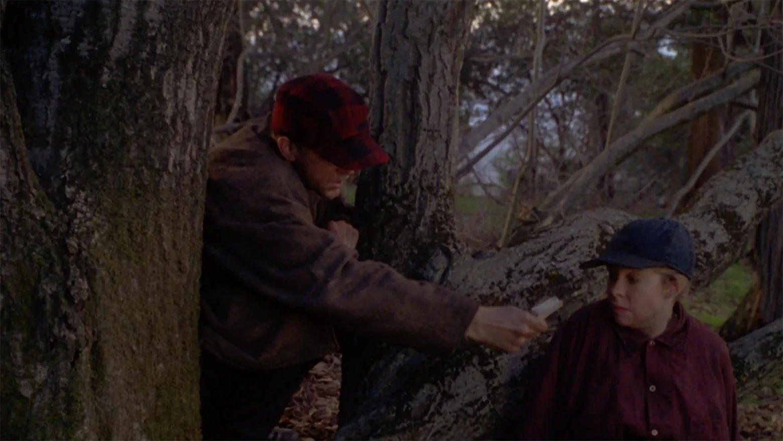 Cry in the Wild The Taking of Peggy Ann