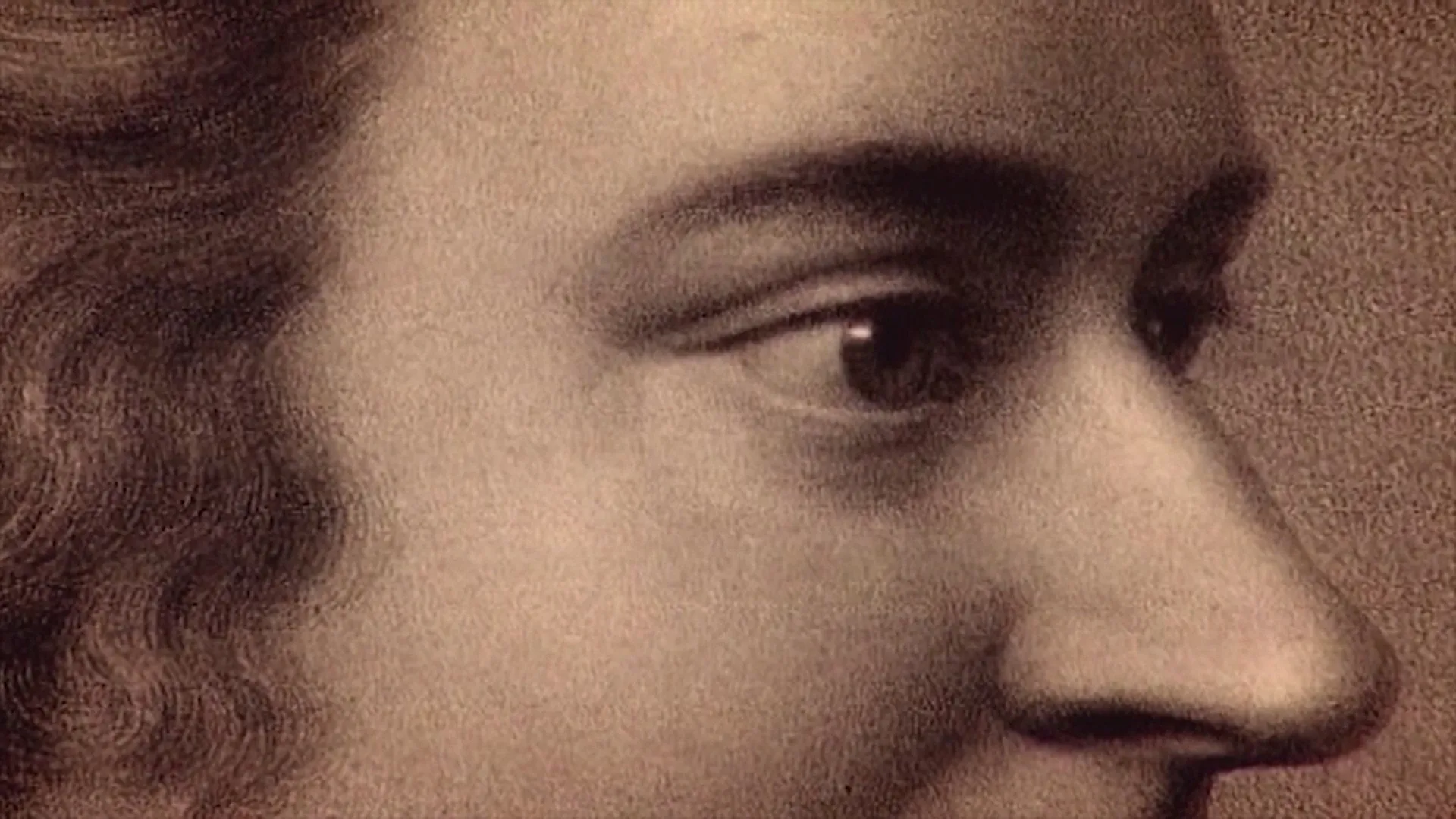 In Search of Mozart