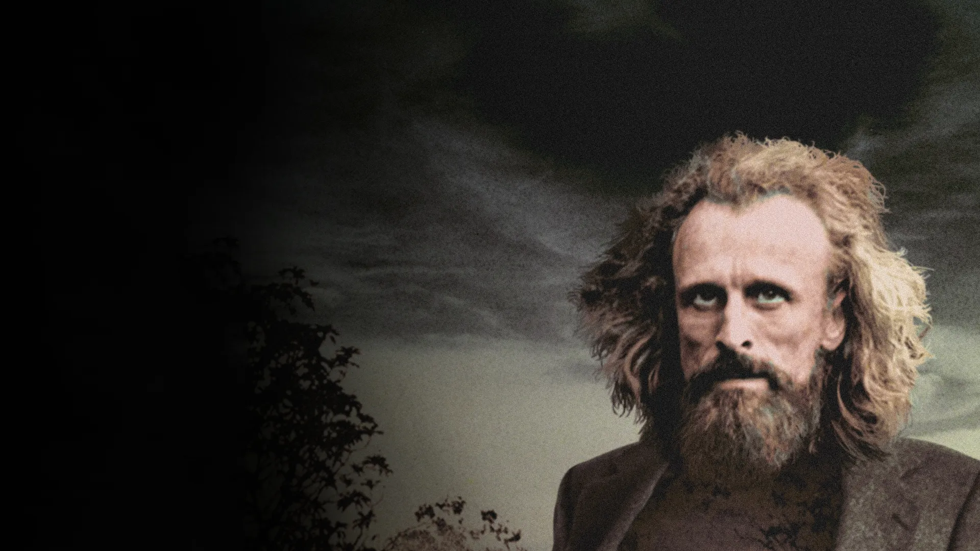 Borgman