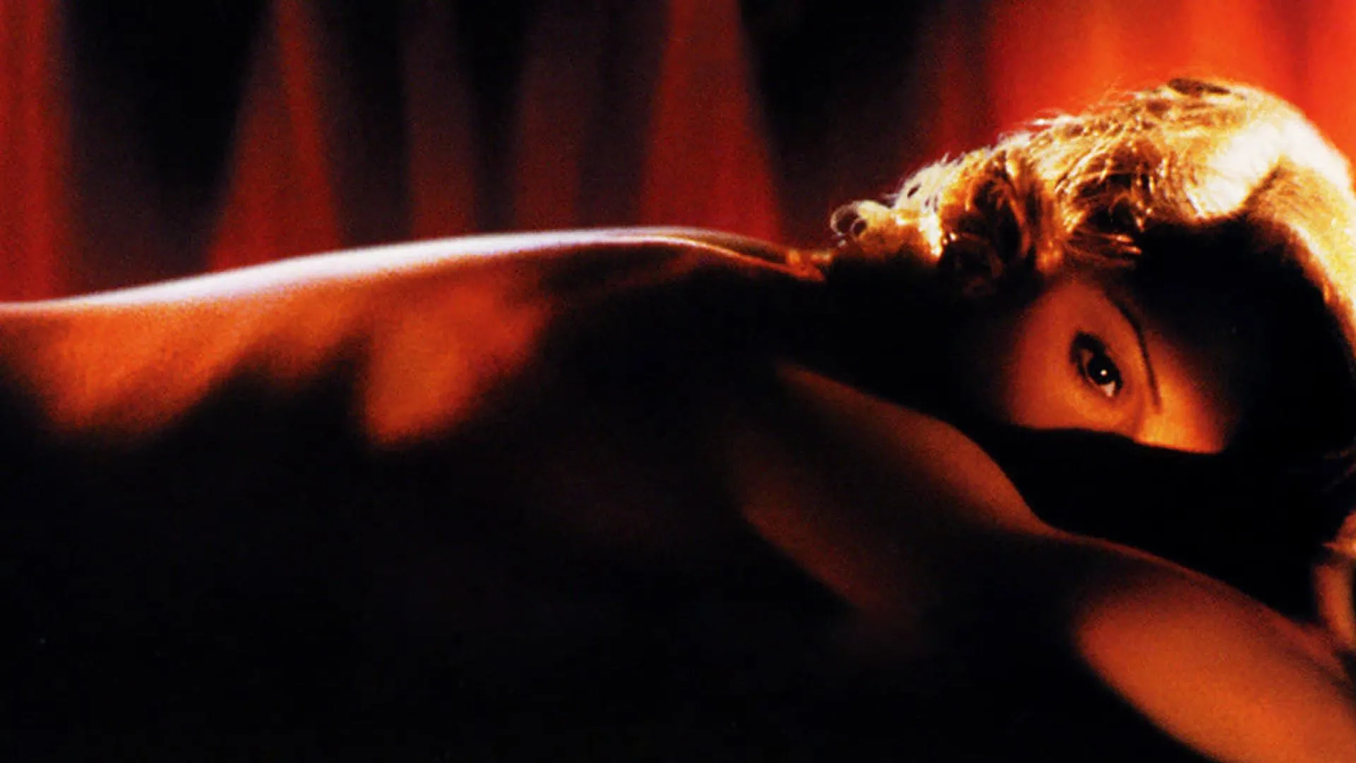 Body Of Evidence