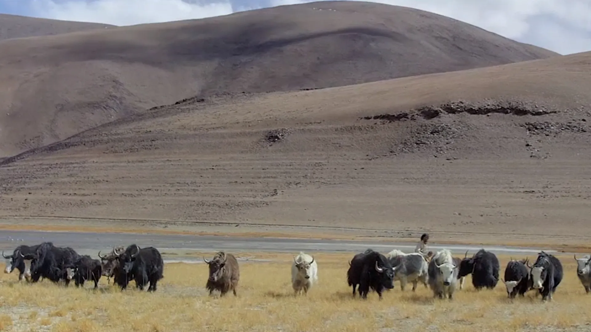 Nomadic Childhood