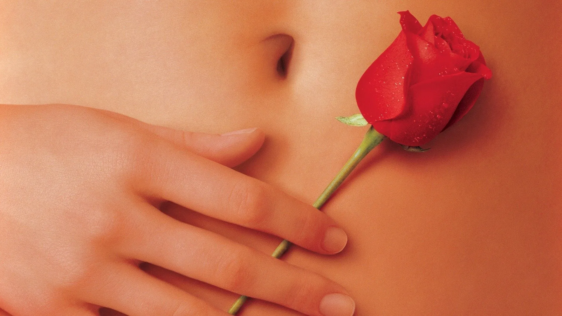 American Beauty