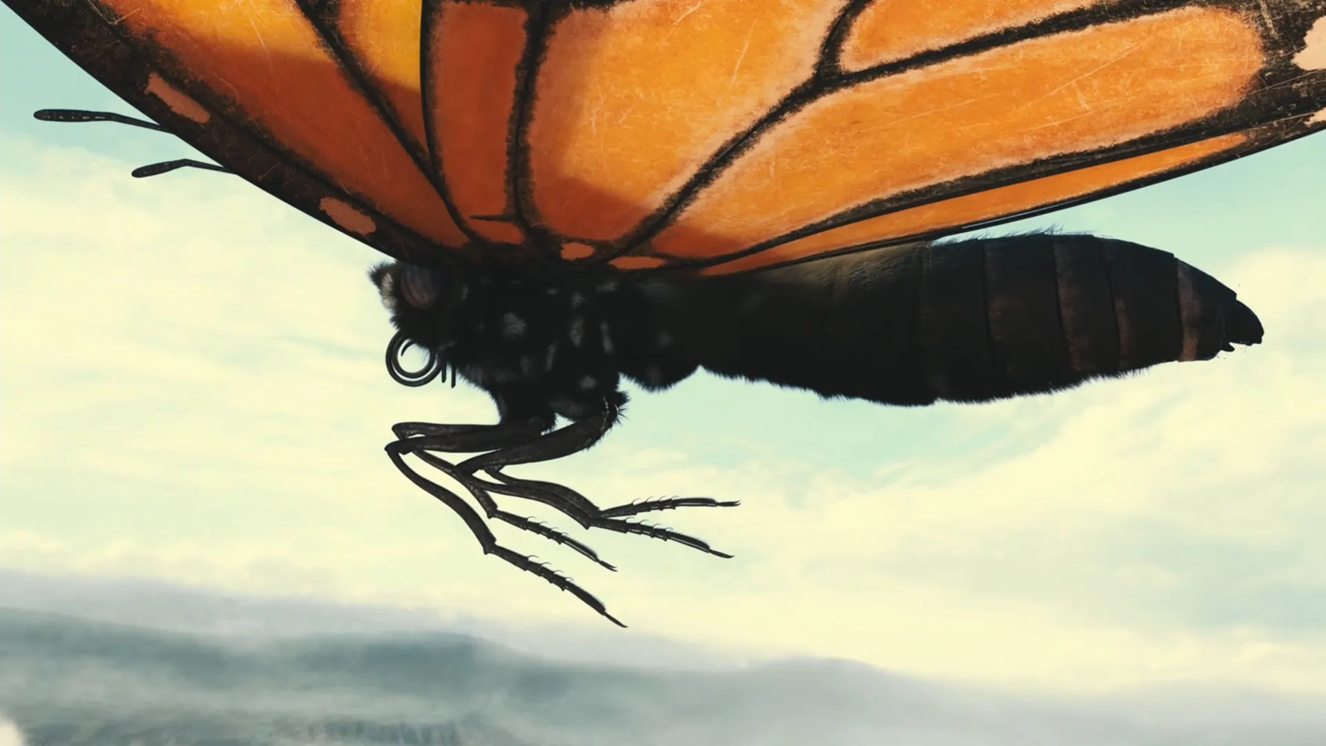 Flight of the Butterflies