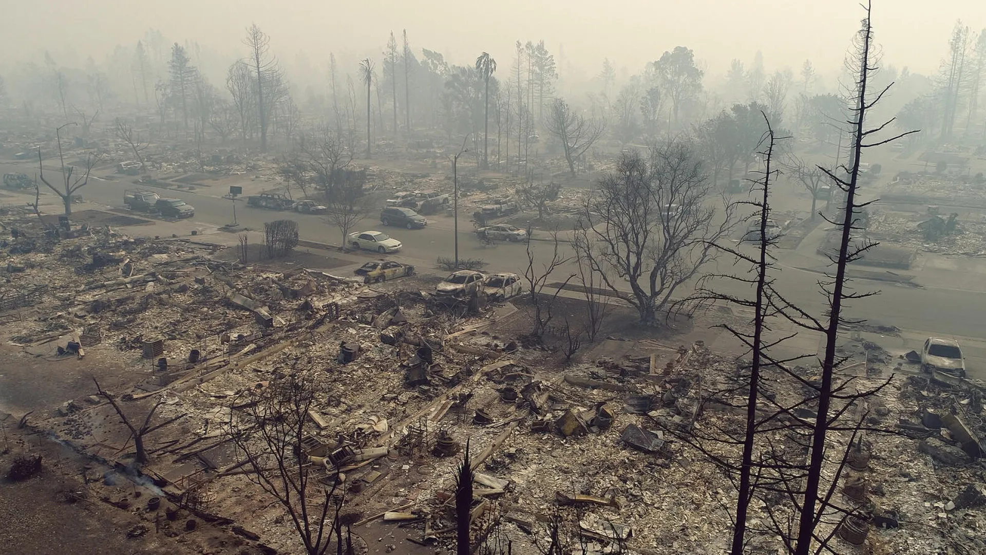 The Disaster Diaries