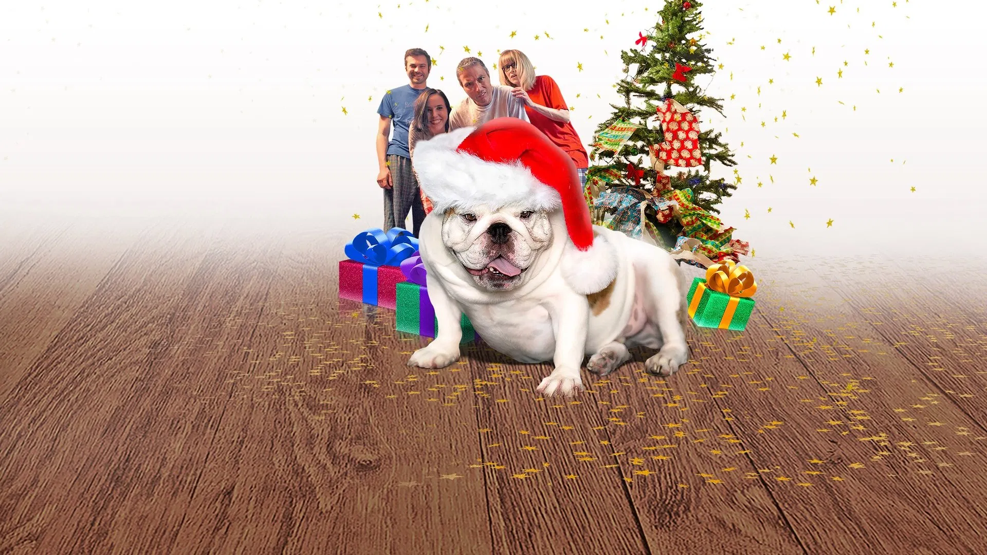 A Bulldog for Christmas