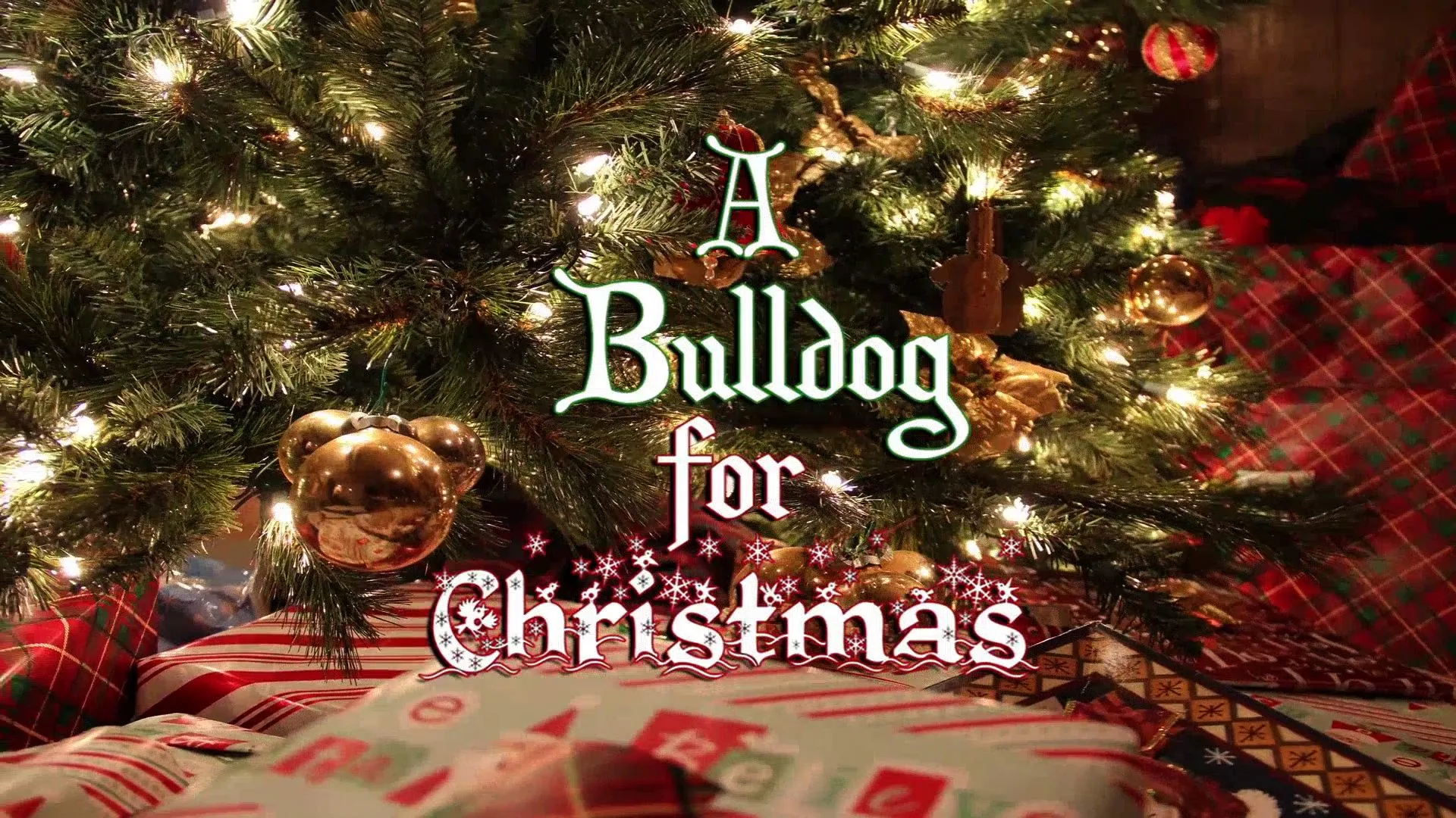 A Bulldog for Christmas