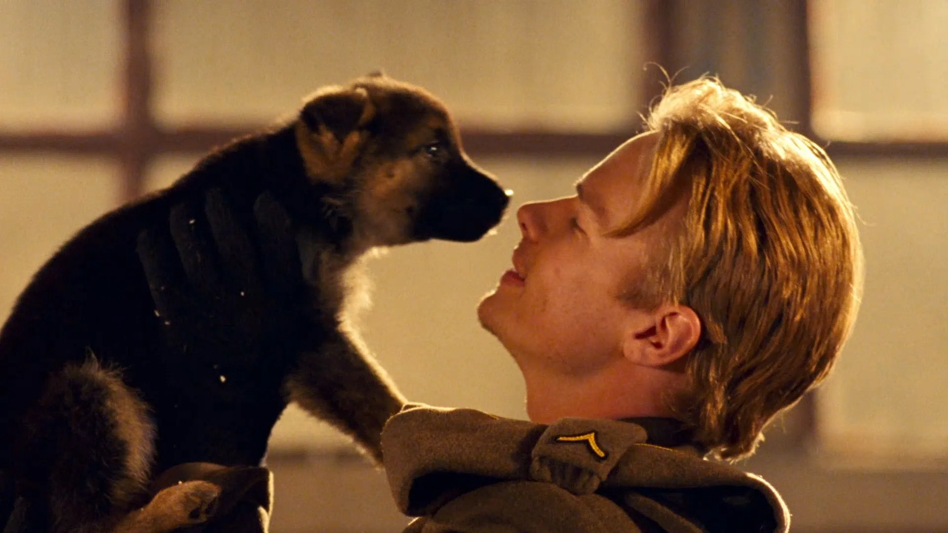 Finding Rin Tin Tin