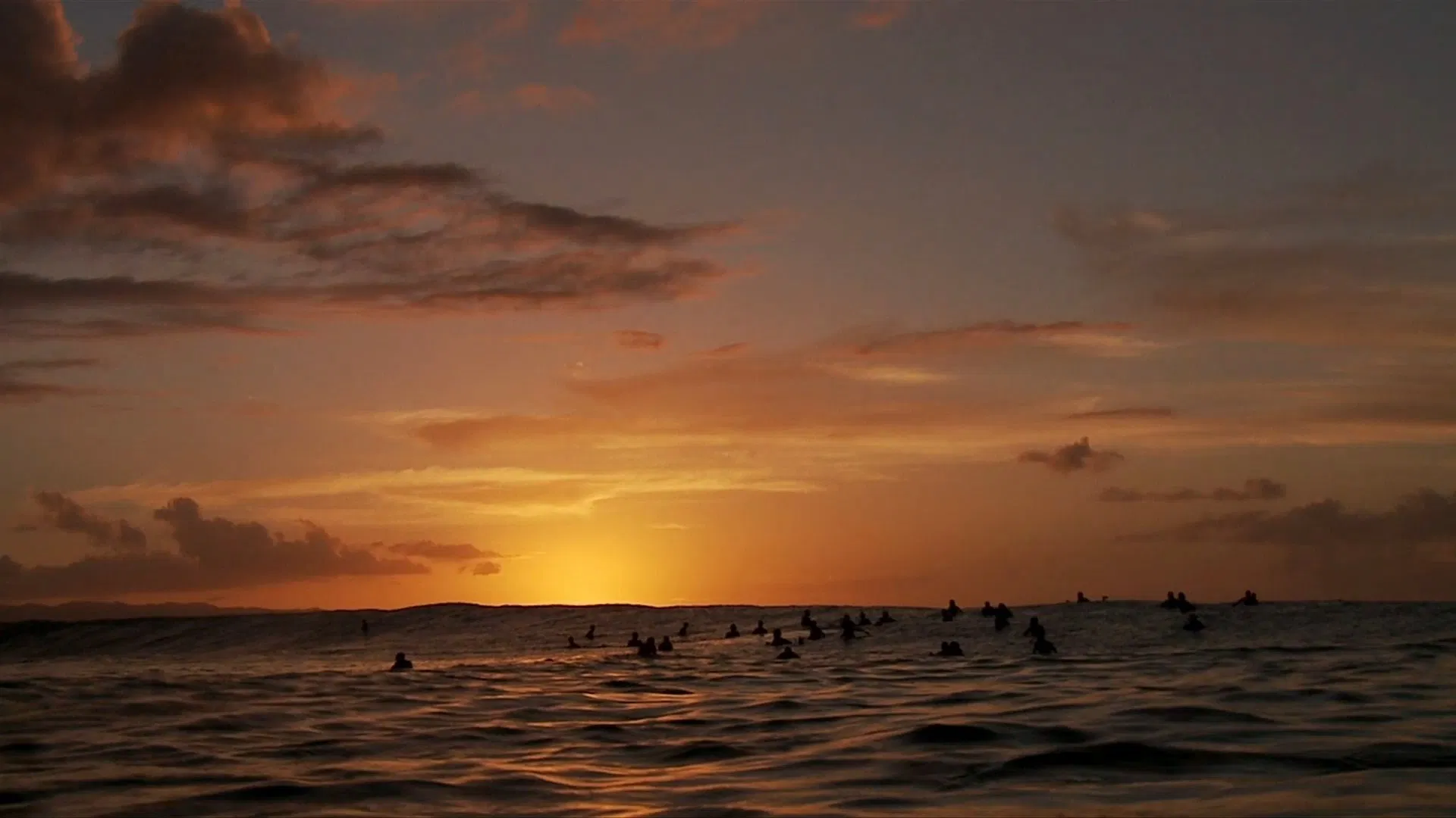 The Arena: North Shore