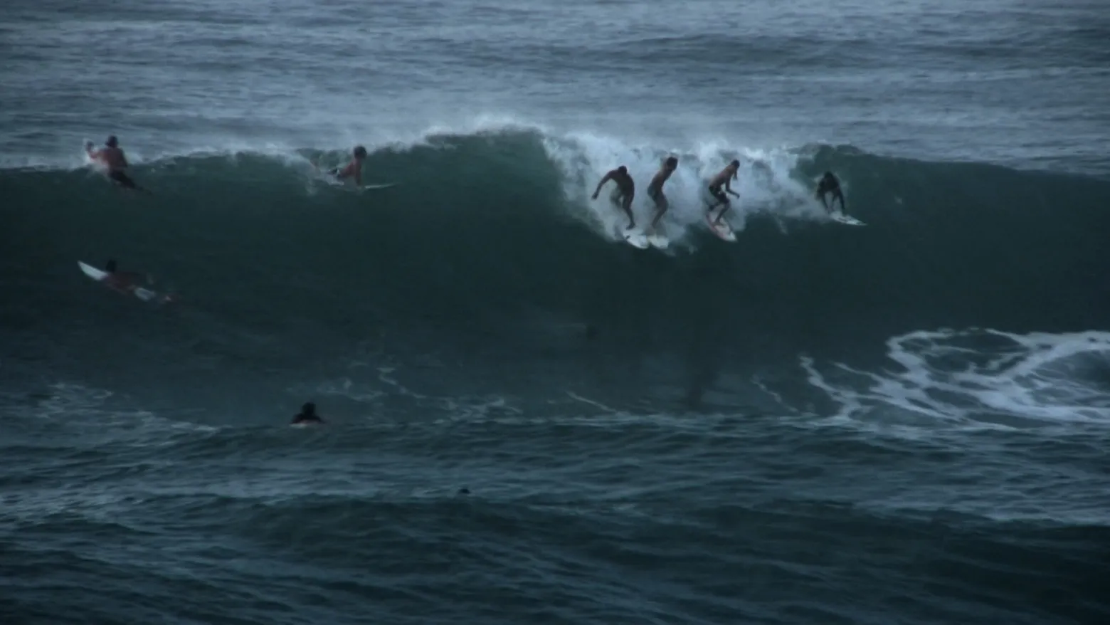 The Arena: North Shore