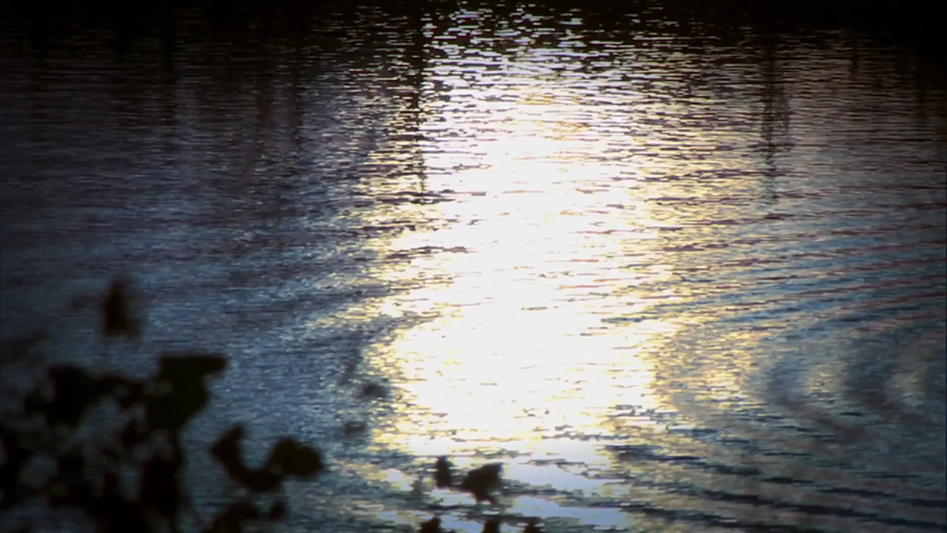 The River Within