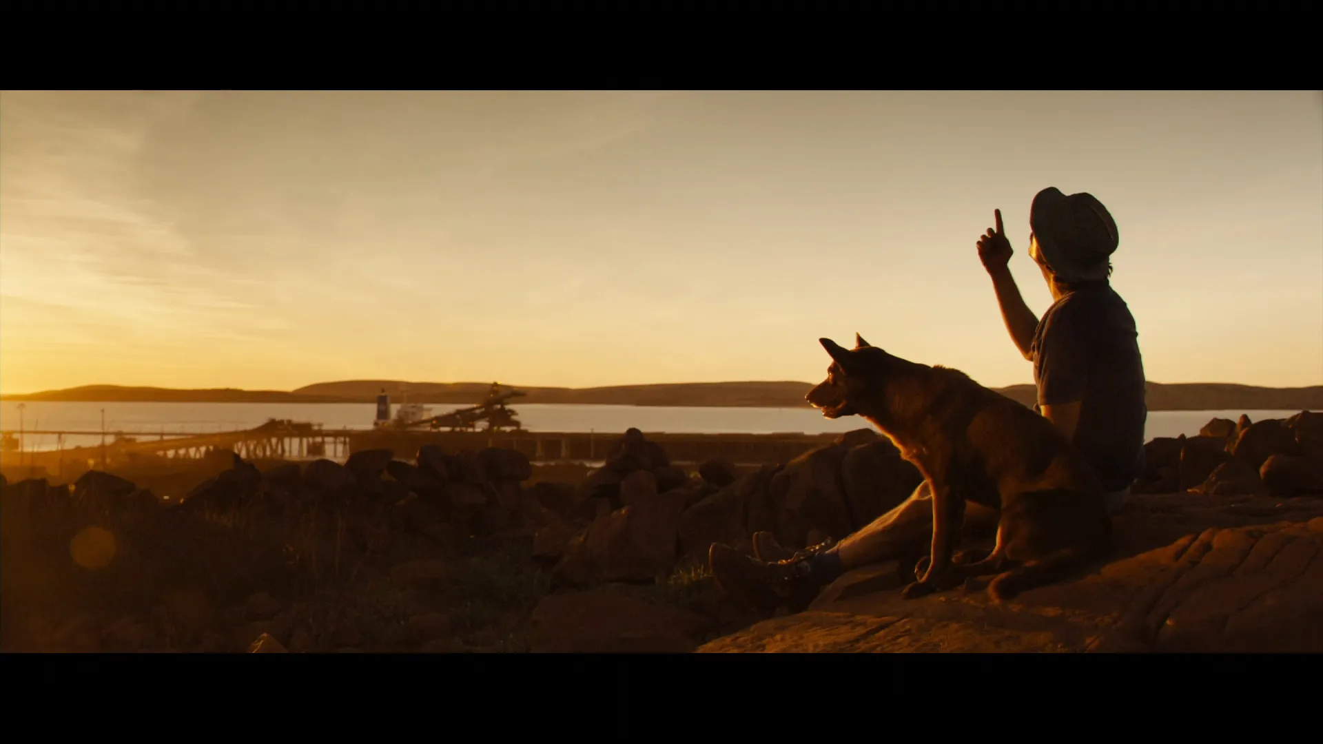 Red Dog