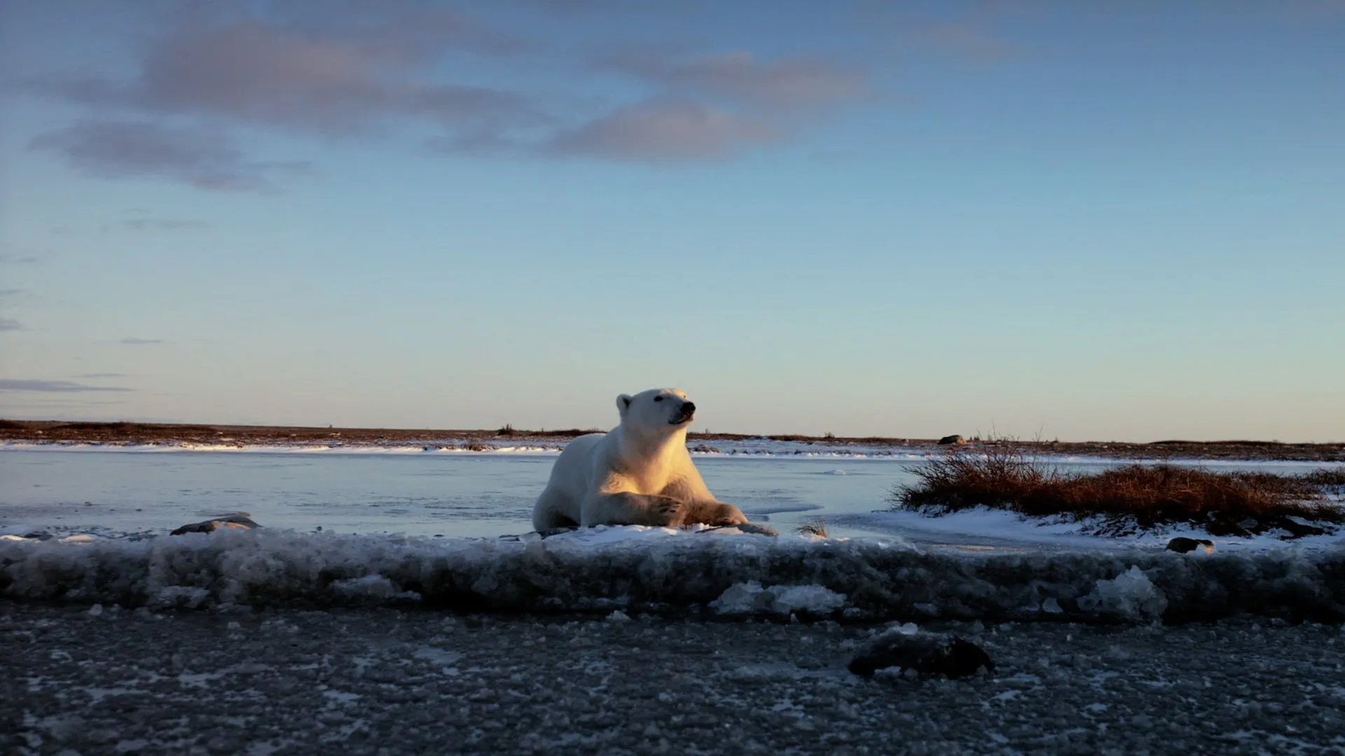 Wonders of the Arctic