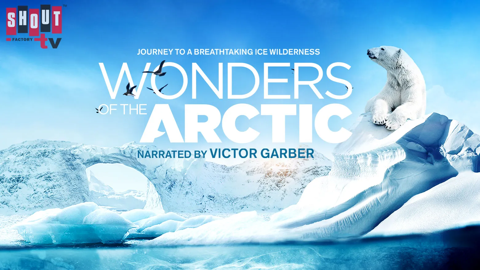 Wonders of the Arctic ( Shout )