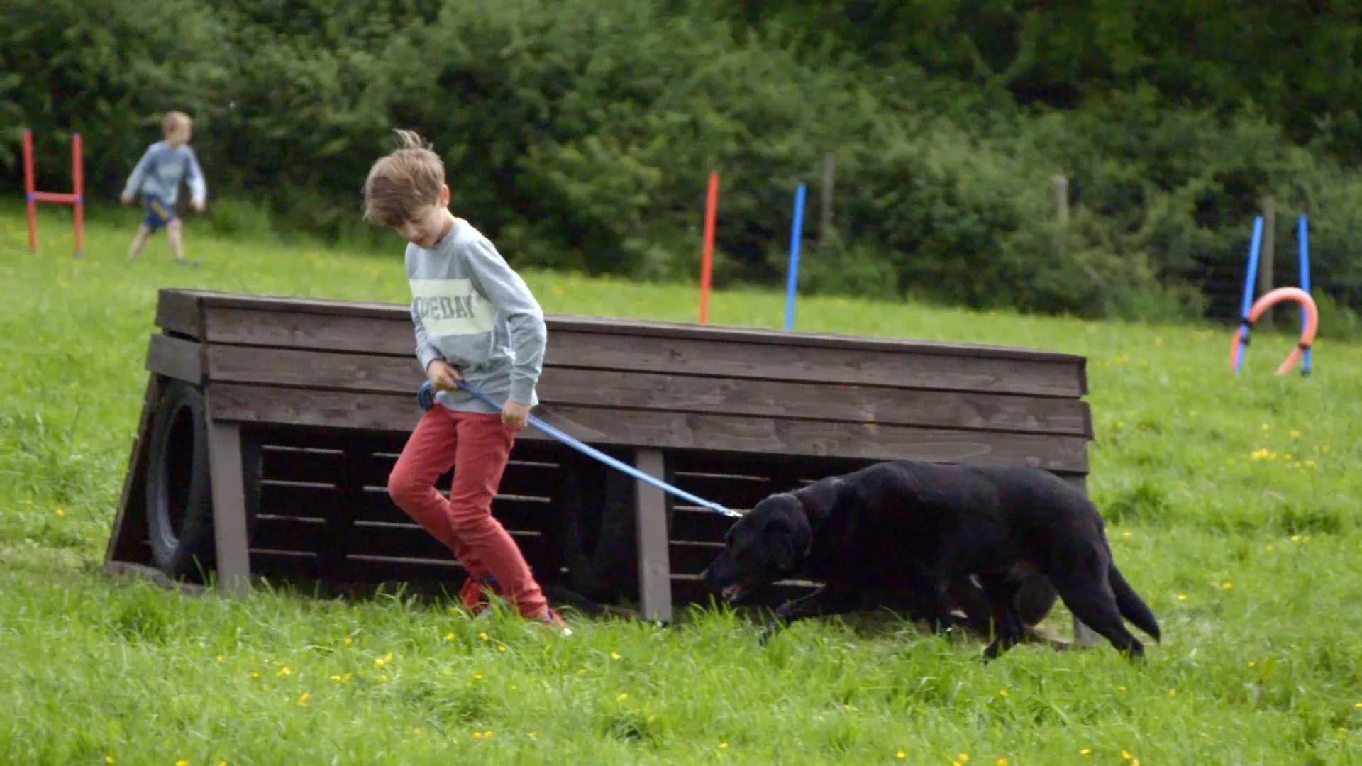 Dog School