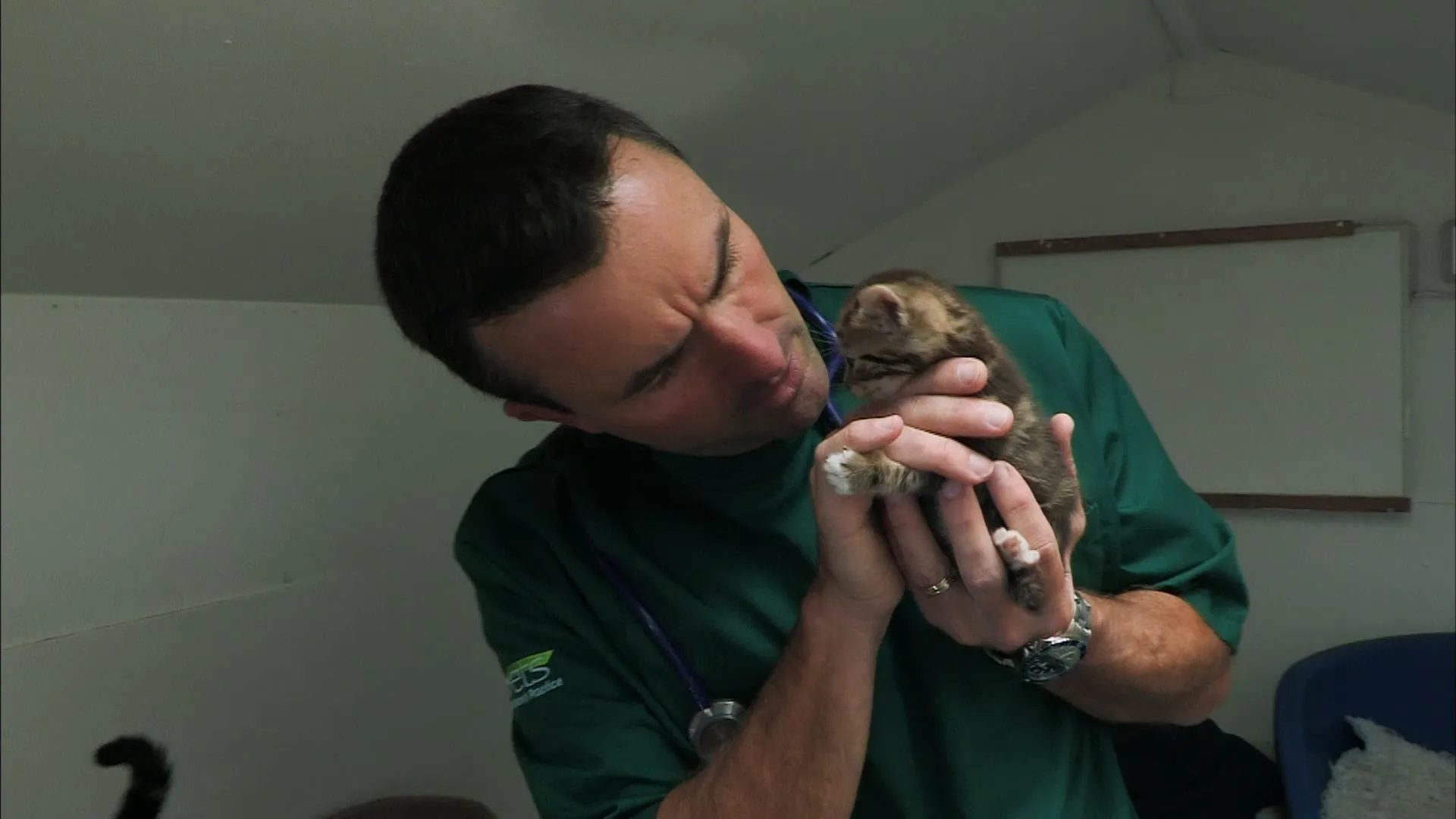 It's a Vet's Life