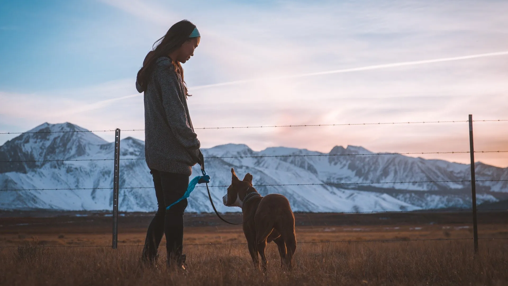 Talking to Animals