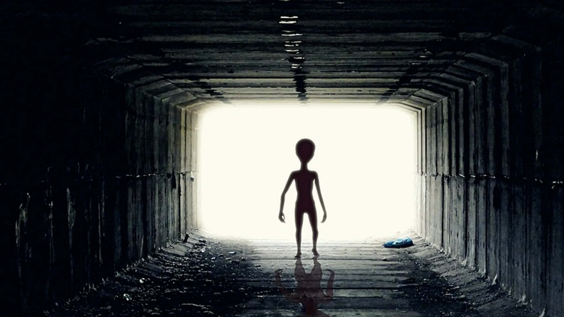 30 Insane UFO Encounters