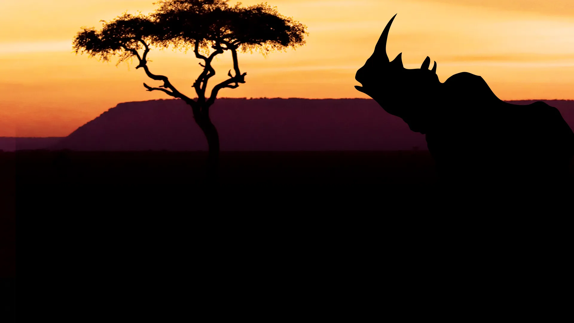 Diarios de Pejeta