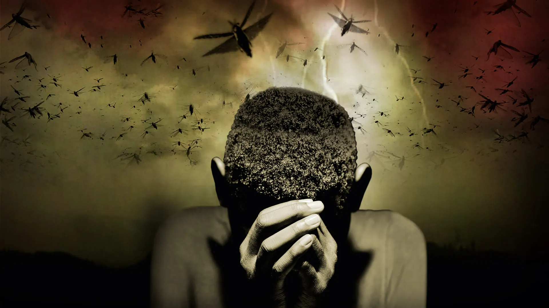 Return of the Bible Plagues