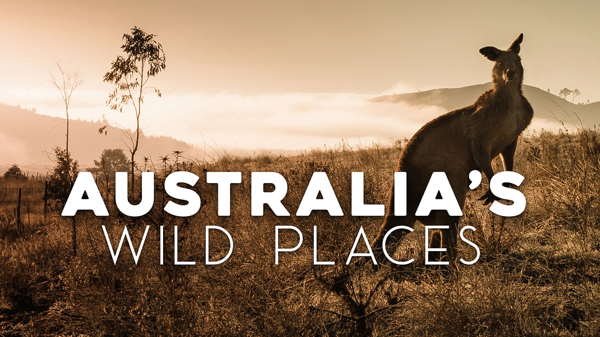 Australia's Wild Places