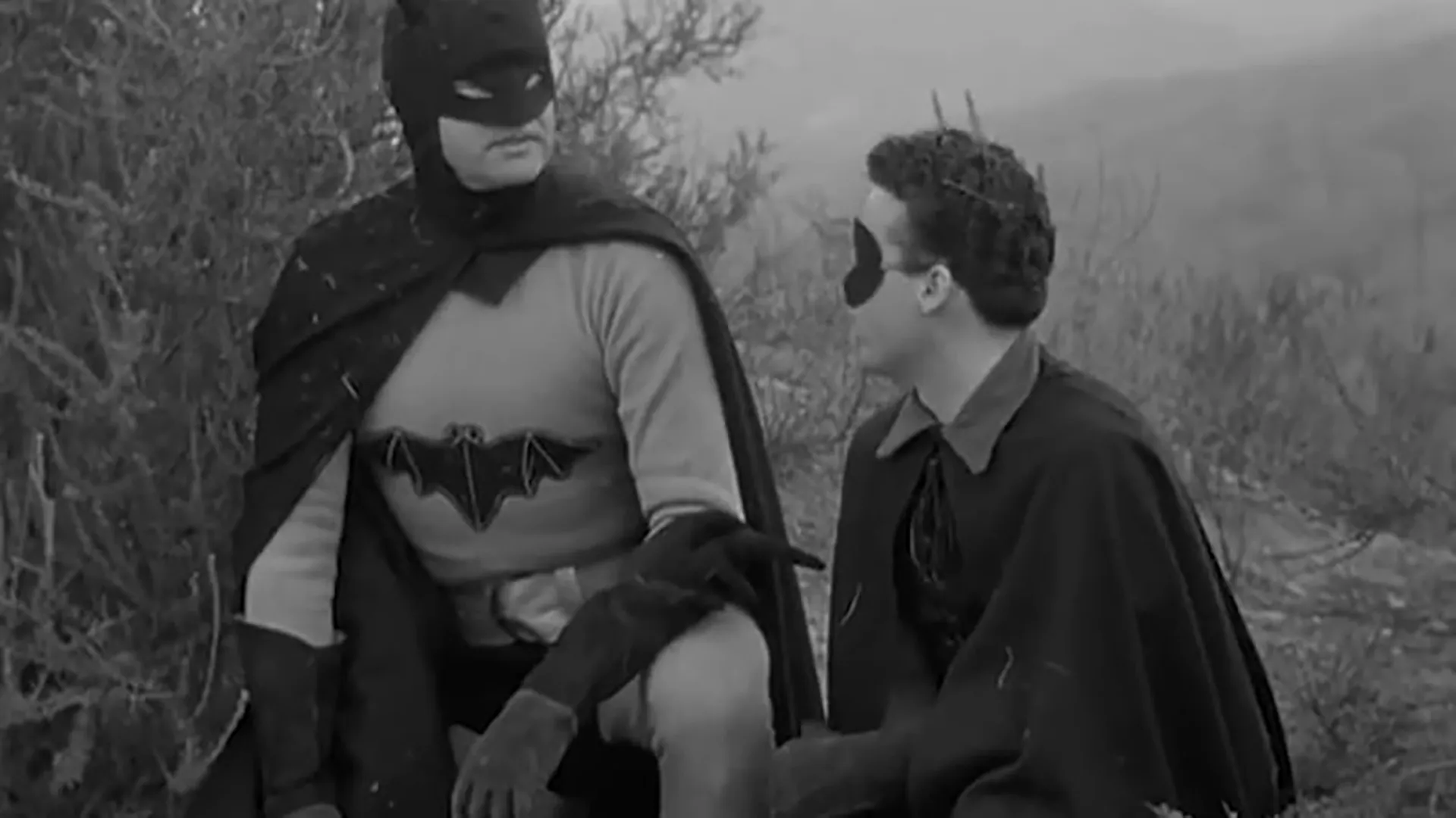 New Adventures Of Batman And Robin