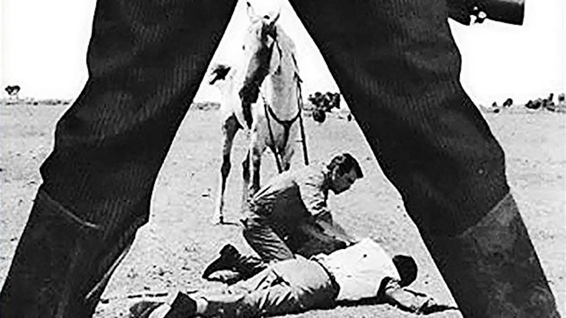 Blood on the Land