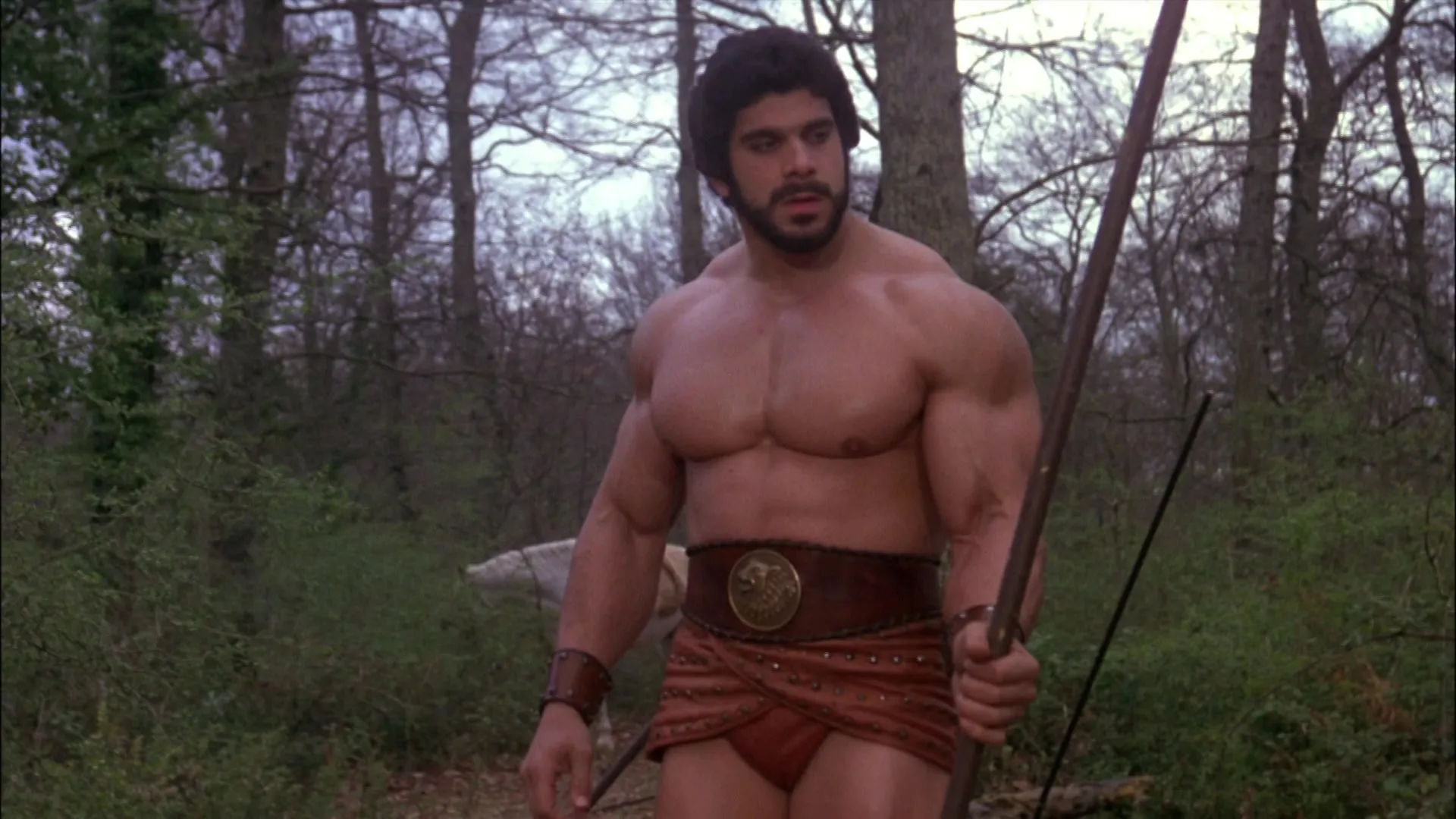The Adventures Of Hercules