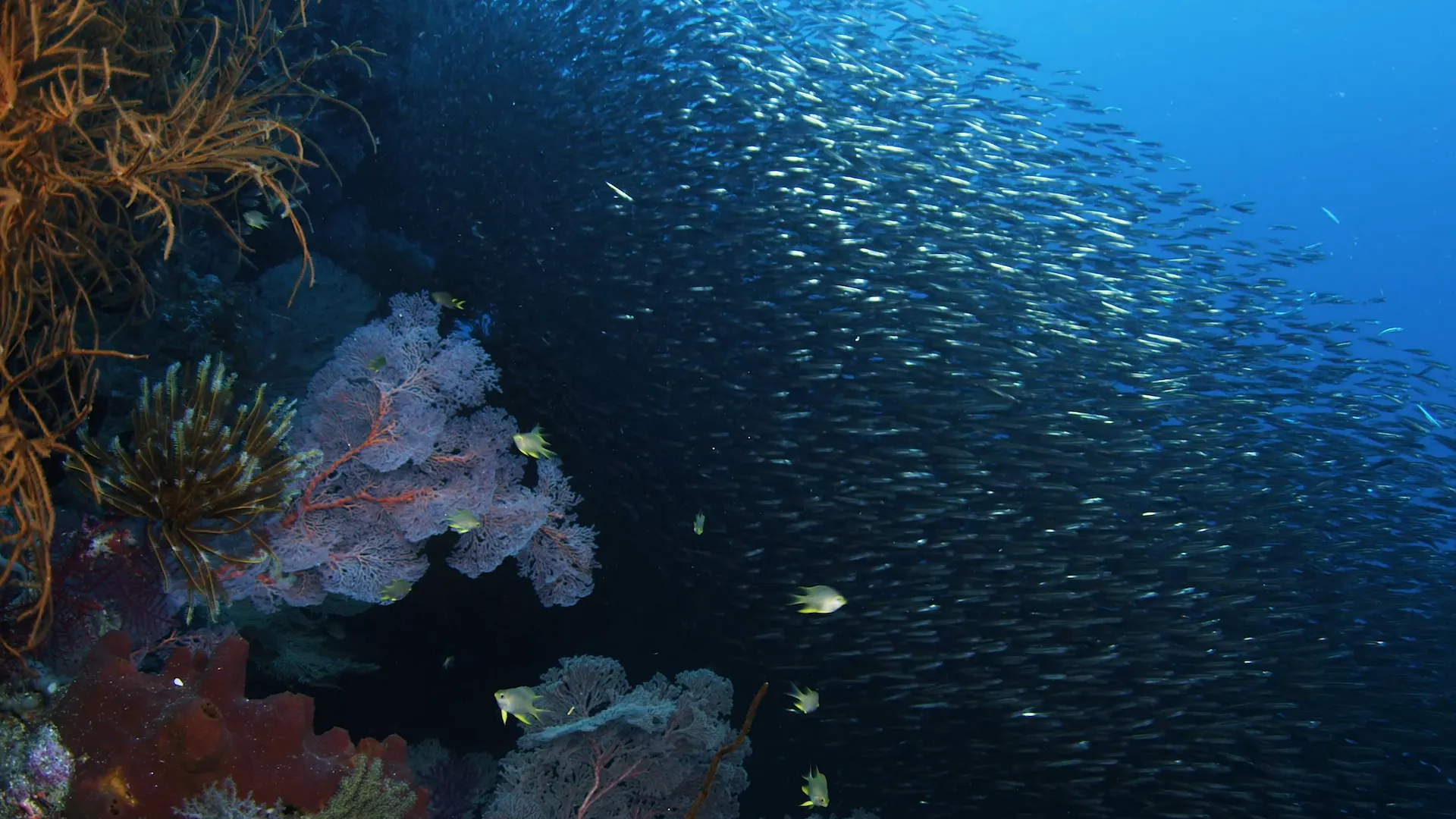 Las Estaciones del Mar