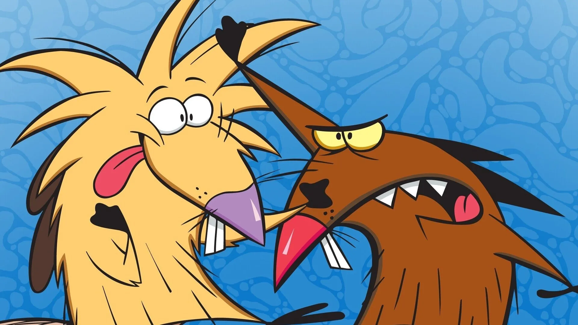 The Angry Beavers