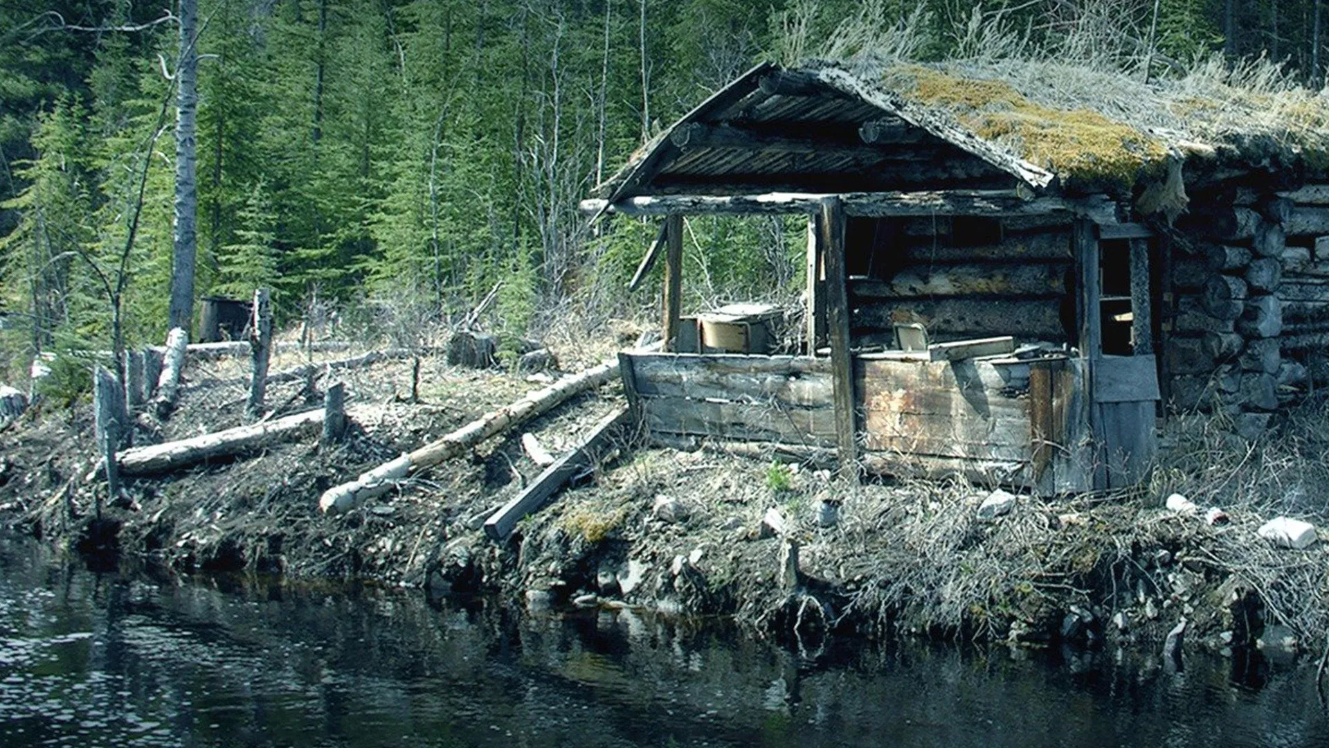 Willard: The Hermit of Gully Lake