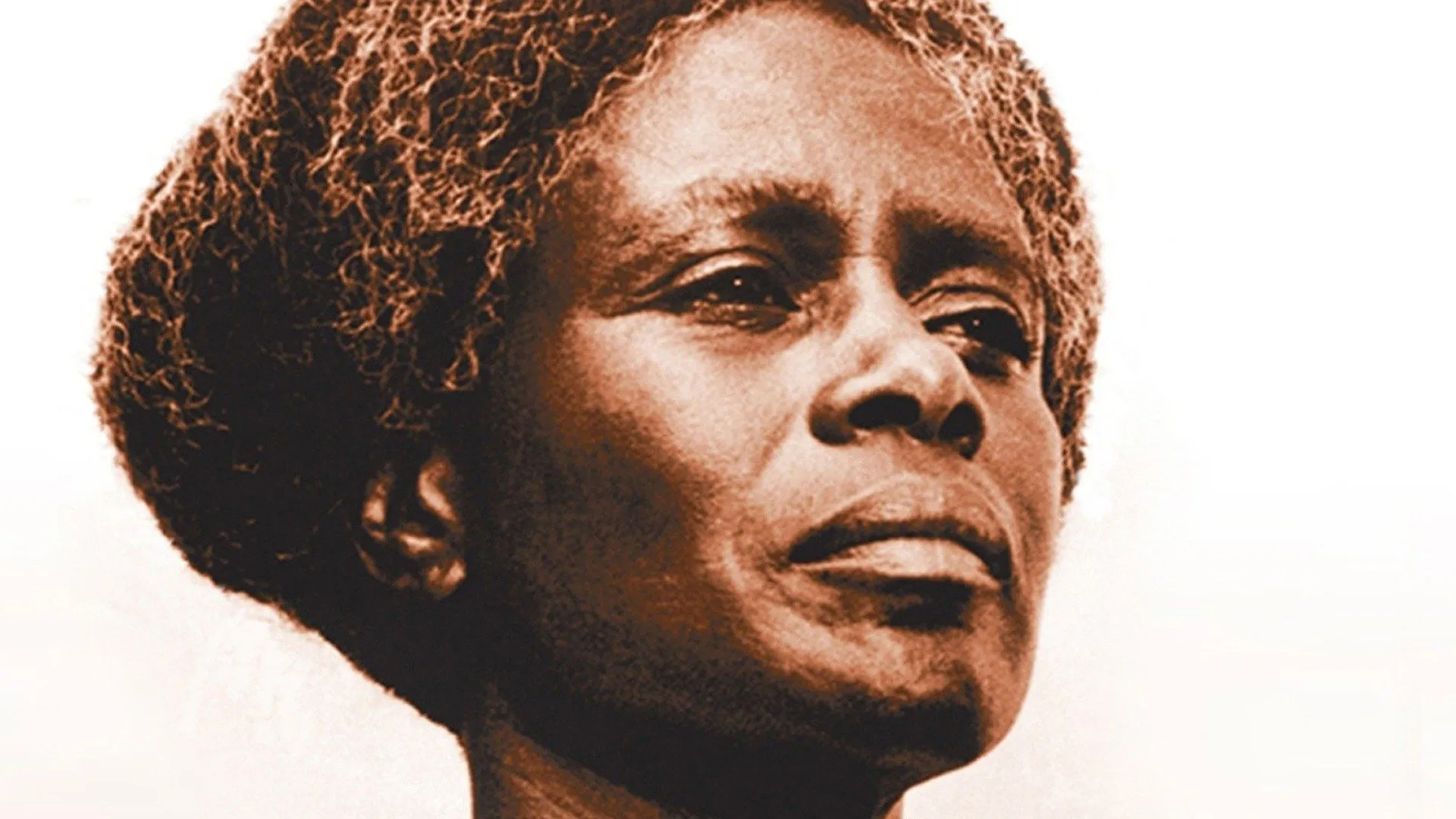 The Autobiography Of Miss Jane Pittman