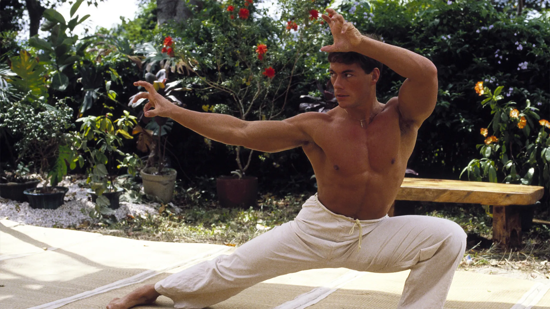 Bloodsport
