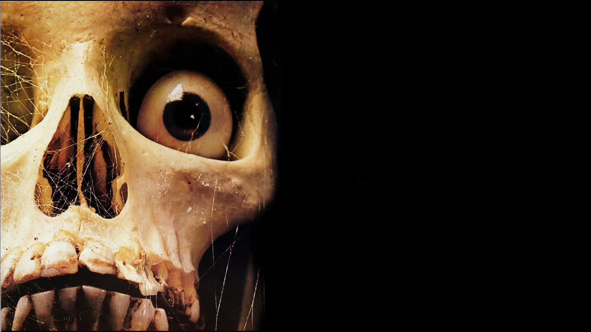 Tales From The Crypt