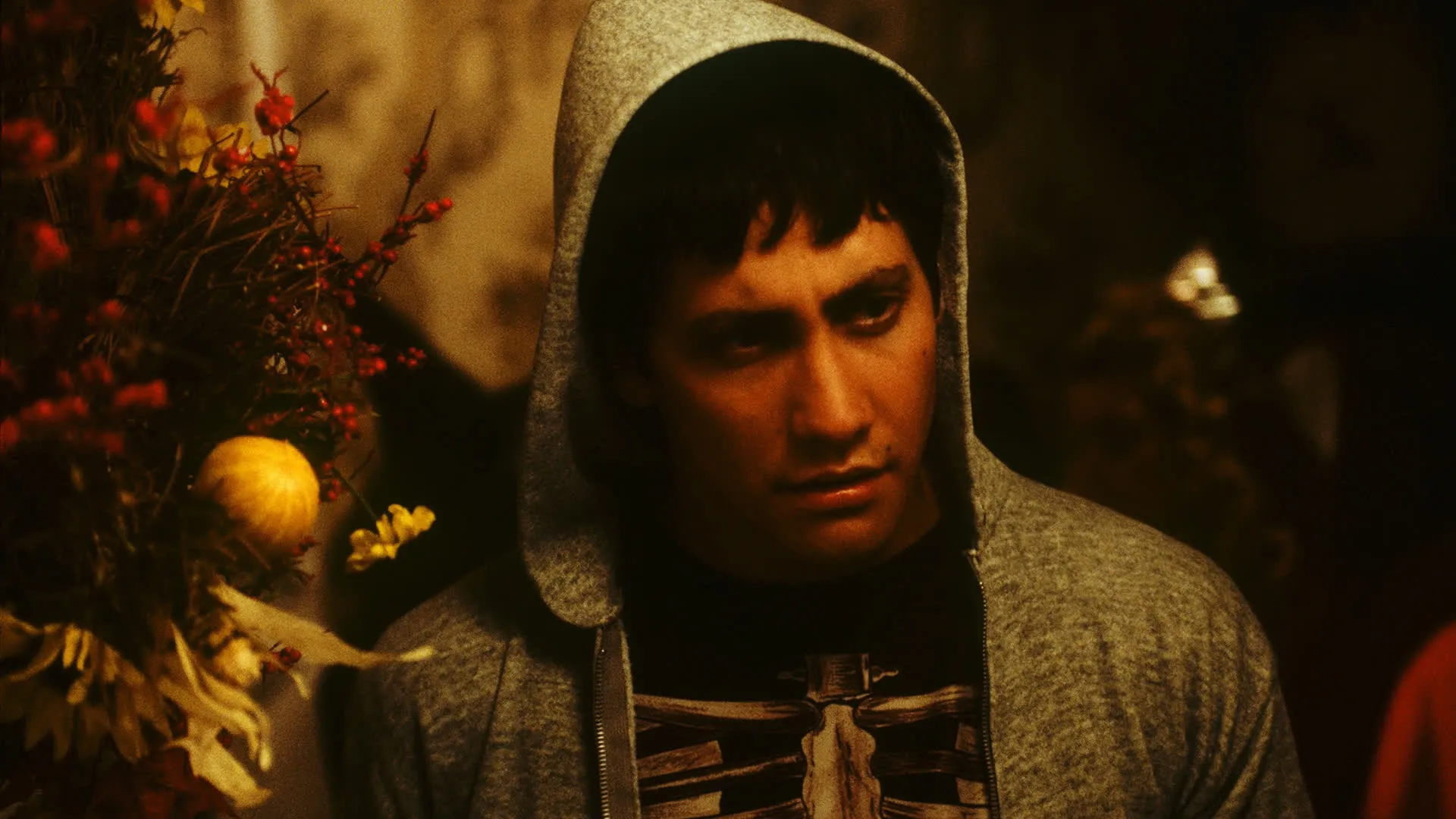 Donnie Darko
