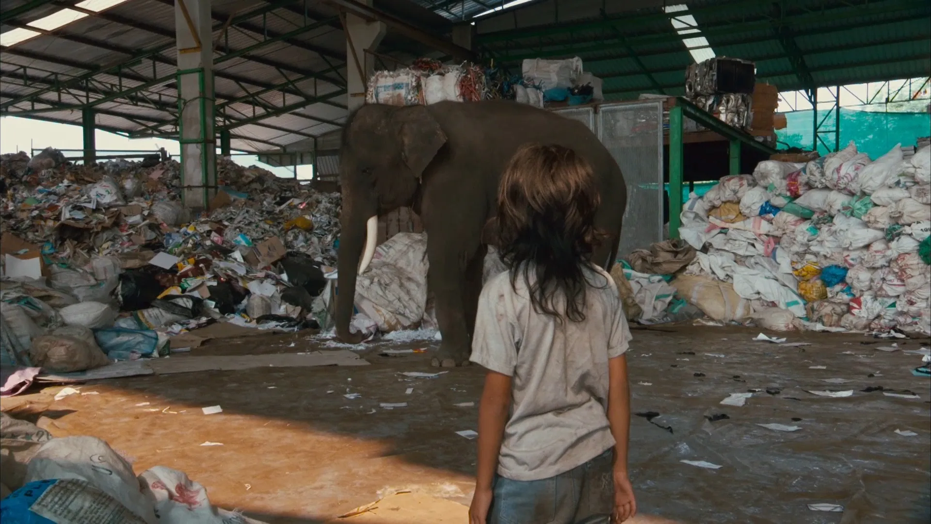 Lucky, el elefante de la suerte