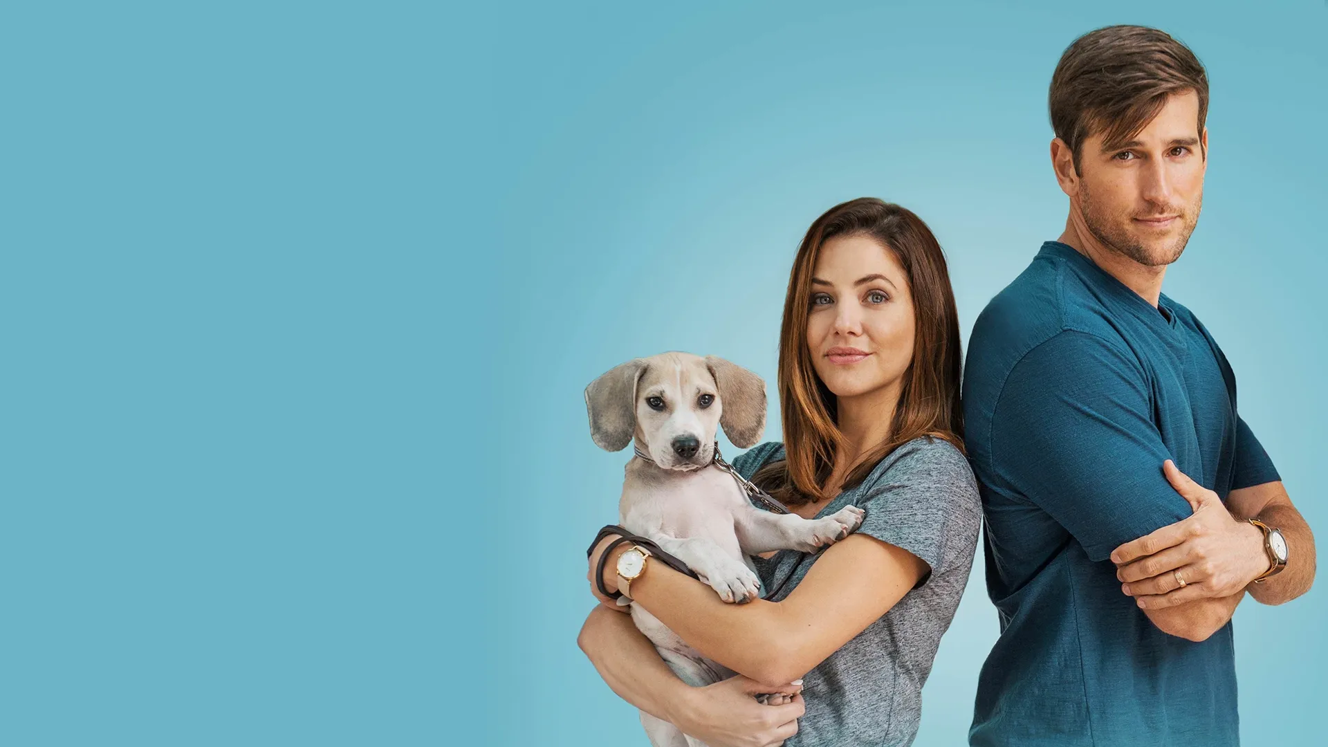 How To Train Your Puppy/Husband
