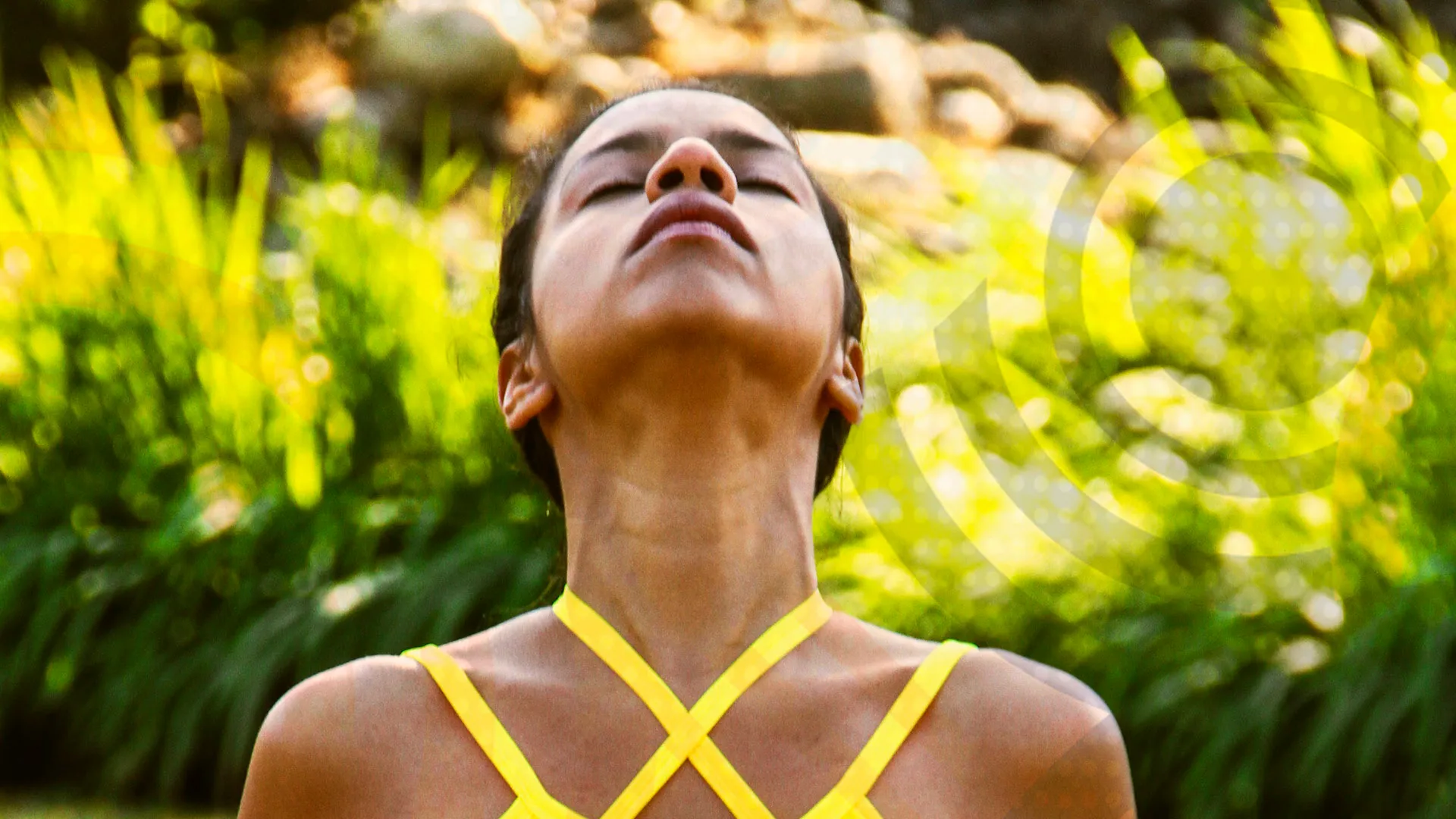 Conexión yoga