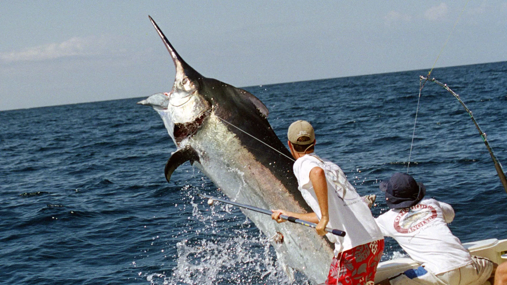 Big Fish Tales