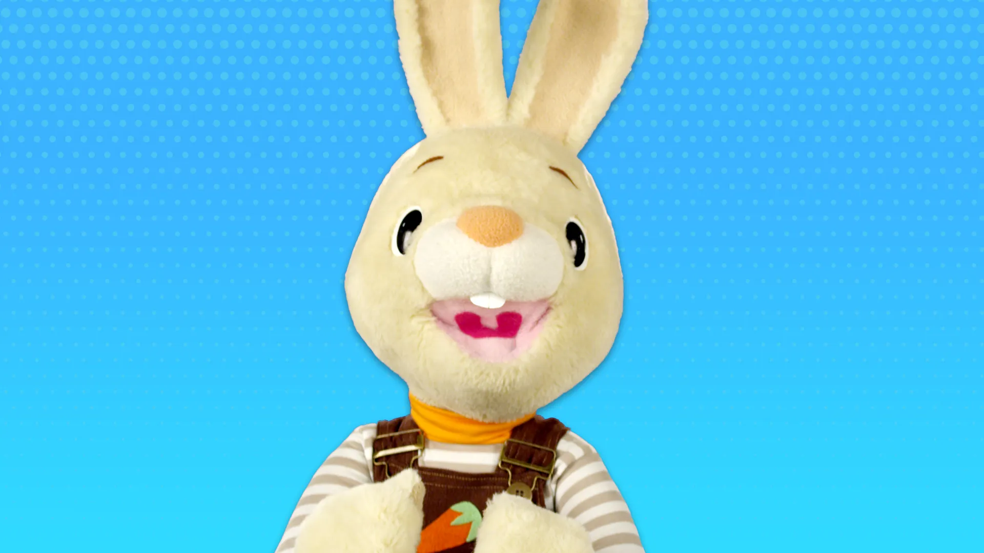 Vocabulario y Números con Harry el Conejo