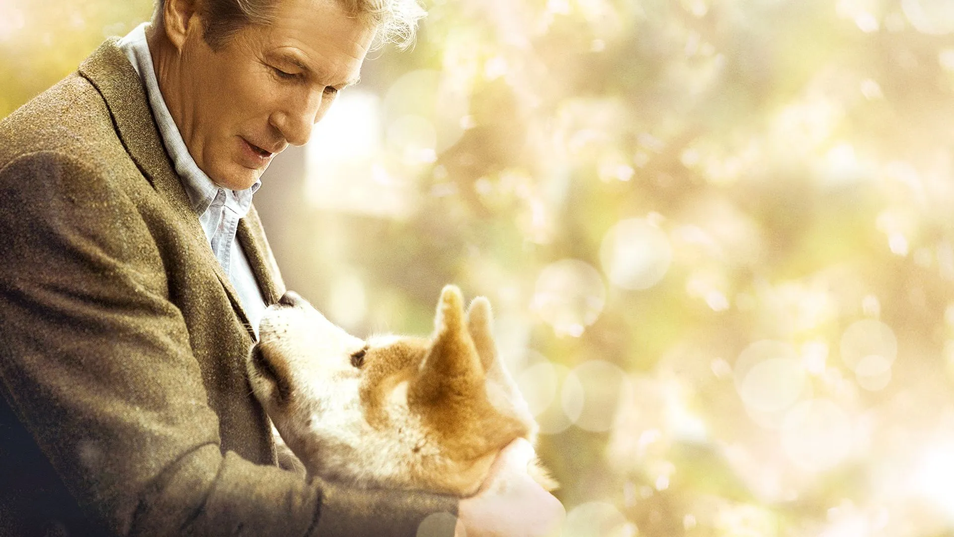 Siempre a tu lado Hachiko