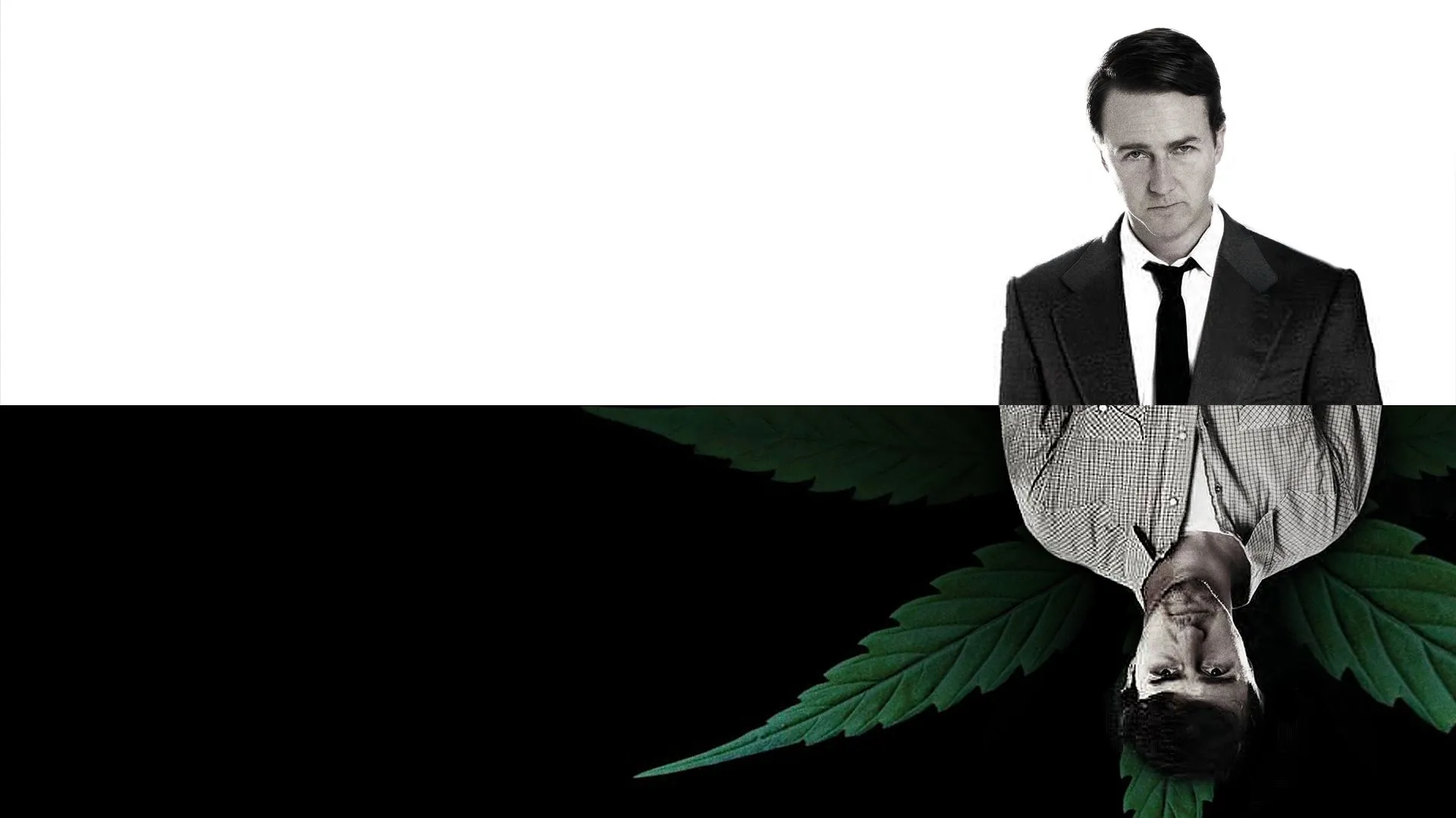 Hojas de hierba