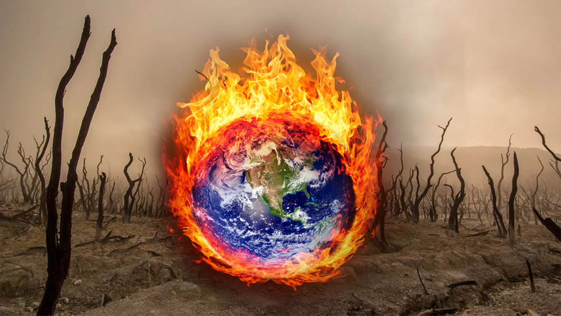 Earth's Survival