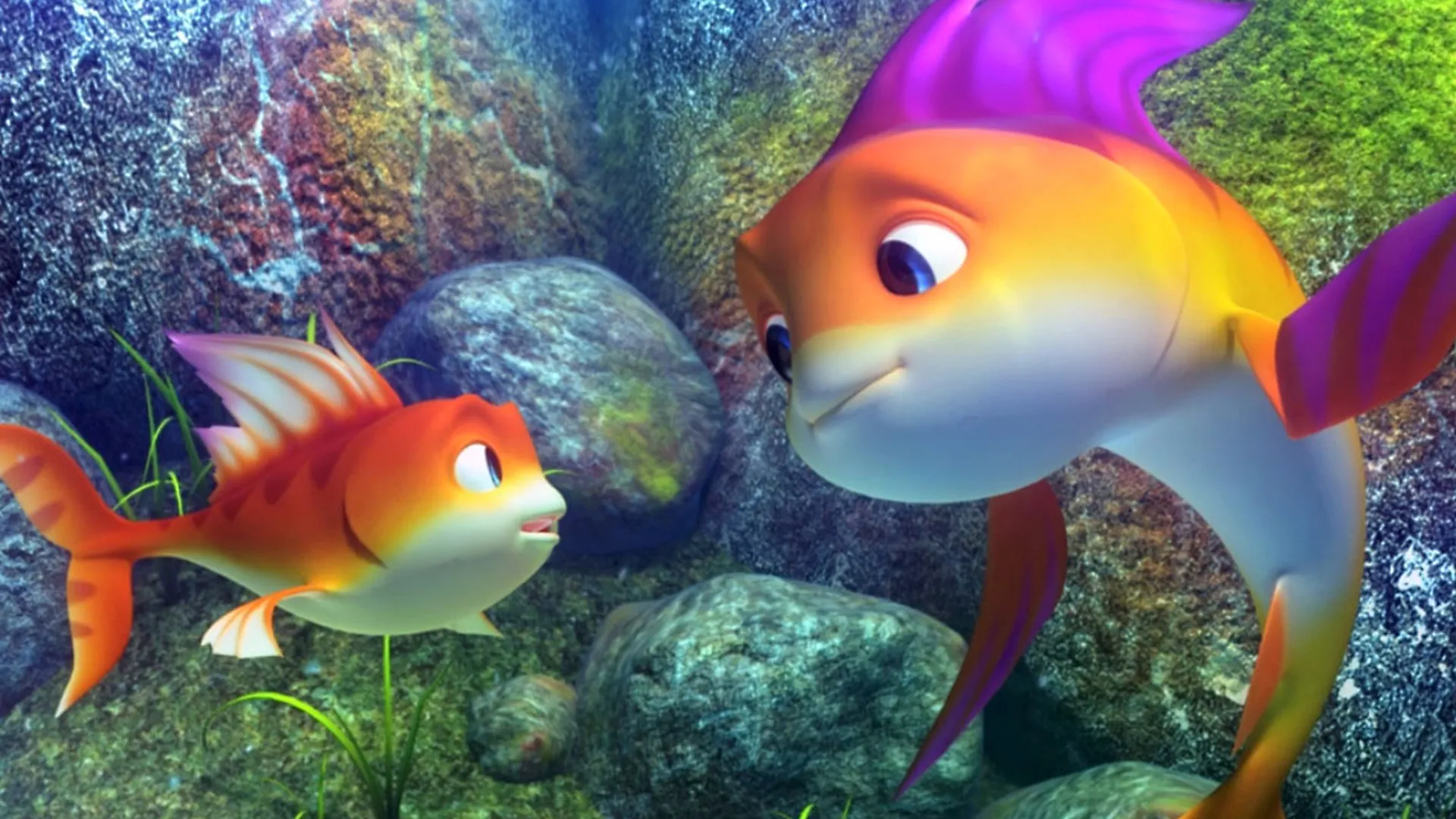 The Reef 2