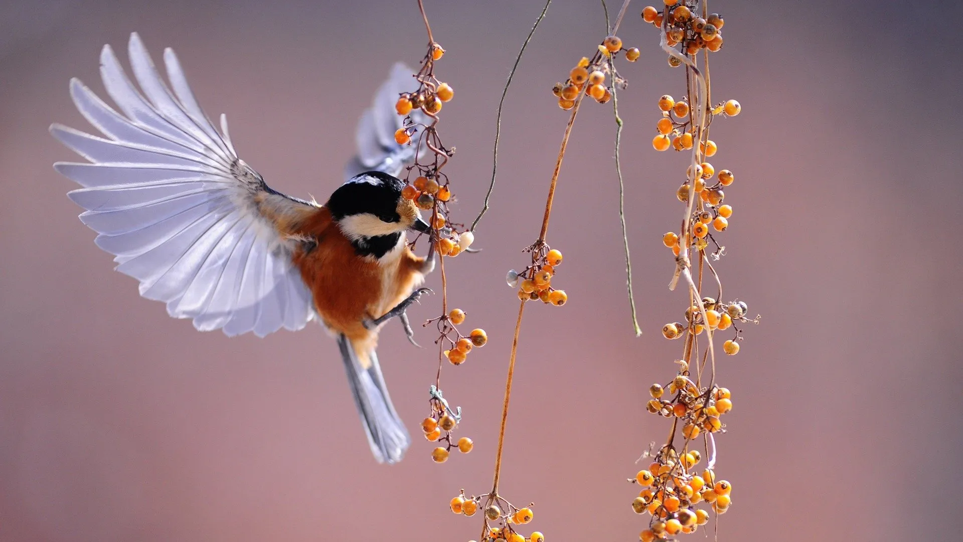 Secret Nature