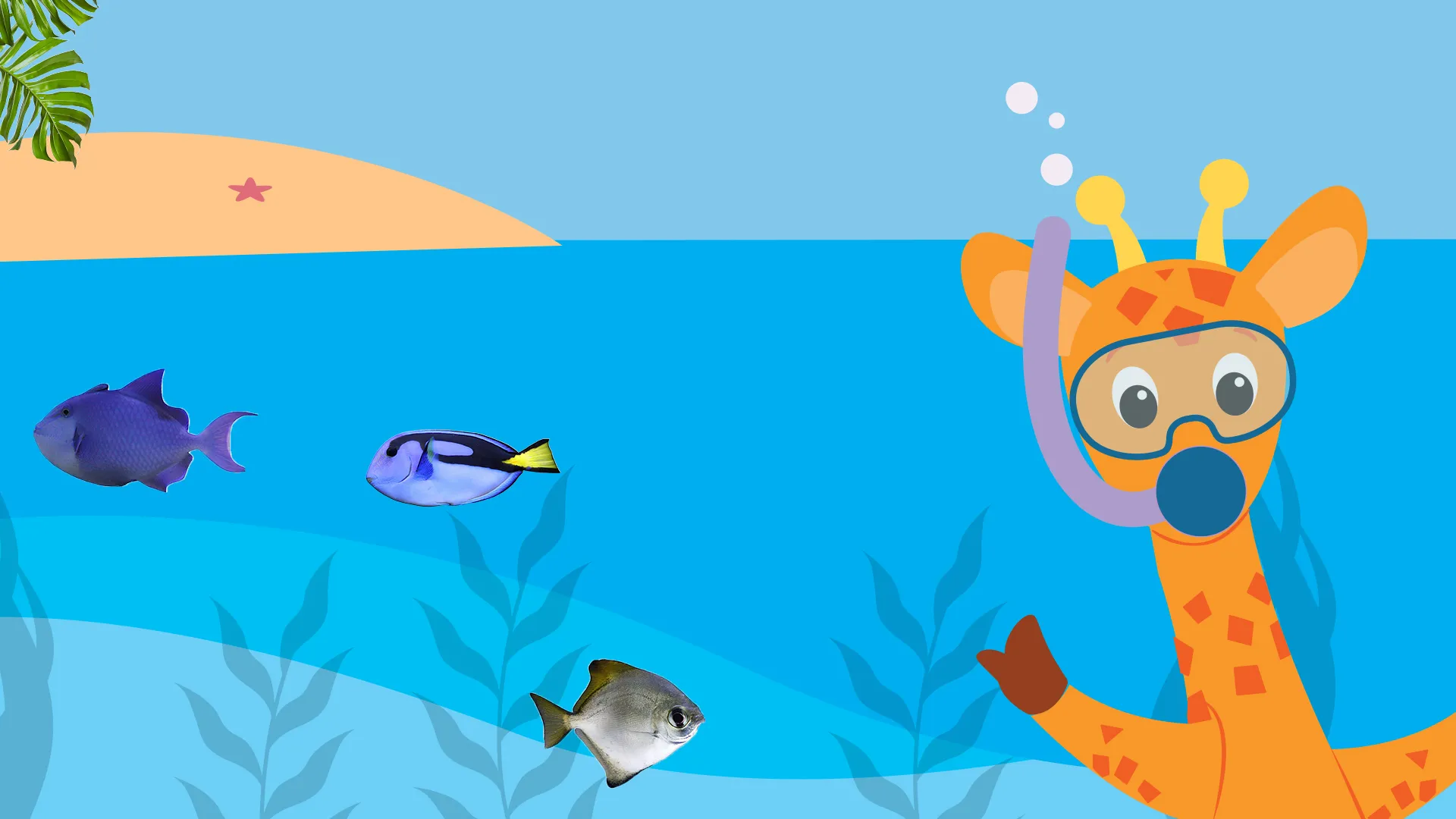Baby Einstein Classics: Science and Nature